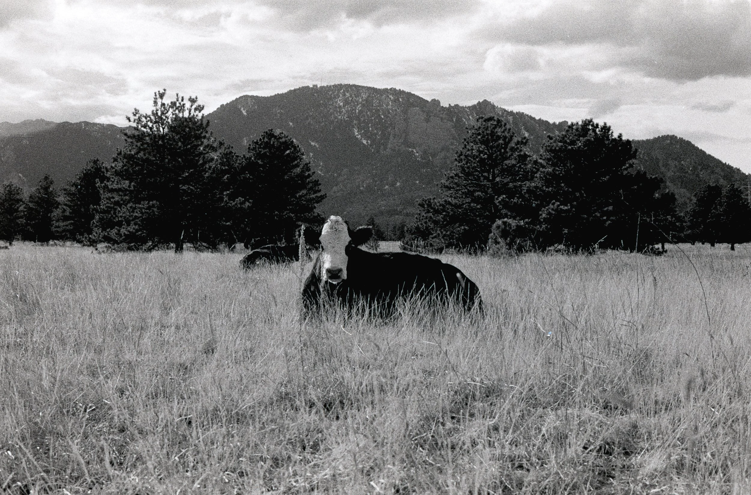 AB_Flat Irons Prairie Vista_B&W-14.jpg