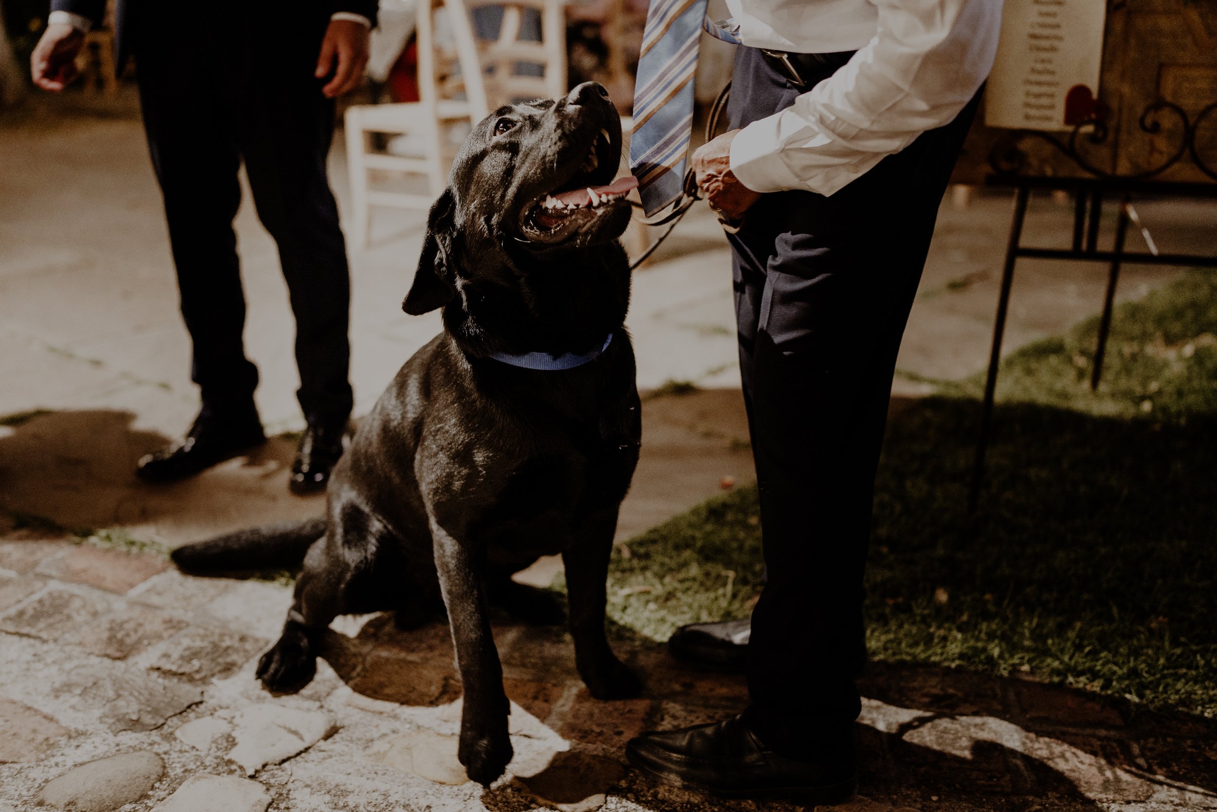 Martina&Andrea-132.jpg