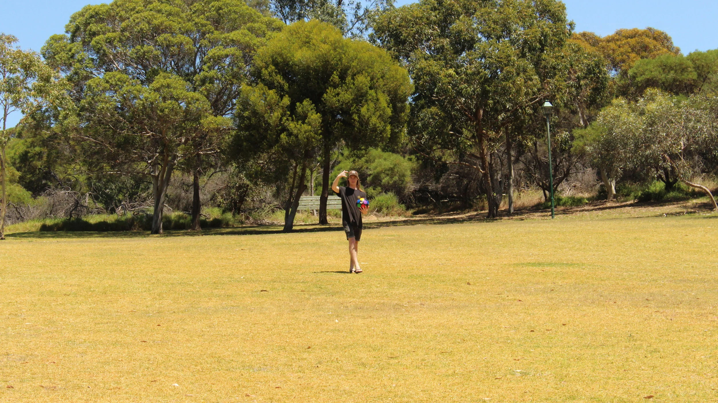  Day 1 (09/11/17'): Billy goes for a walk. 