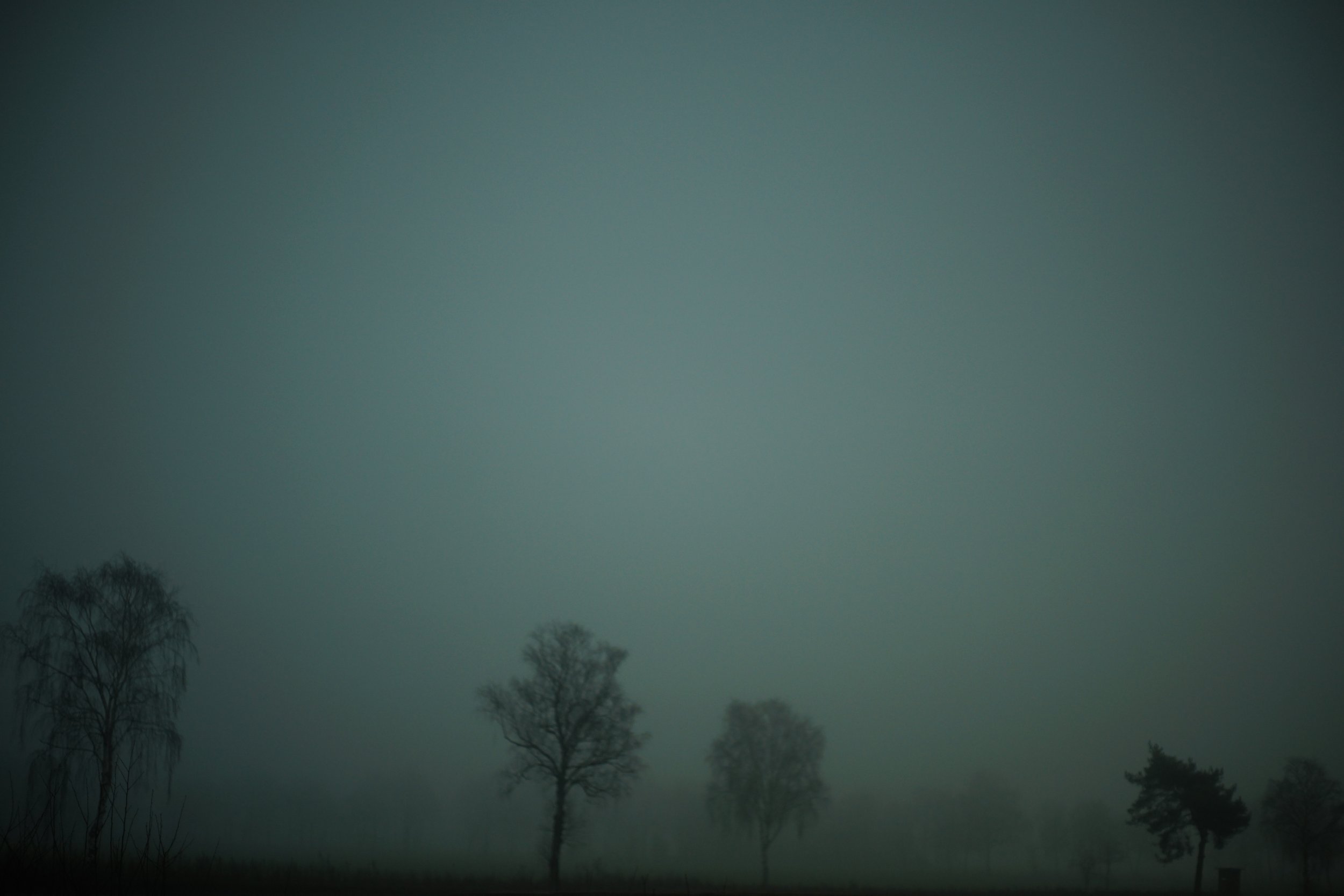 DSC07502.jpg
