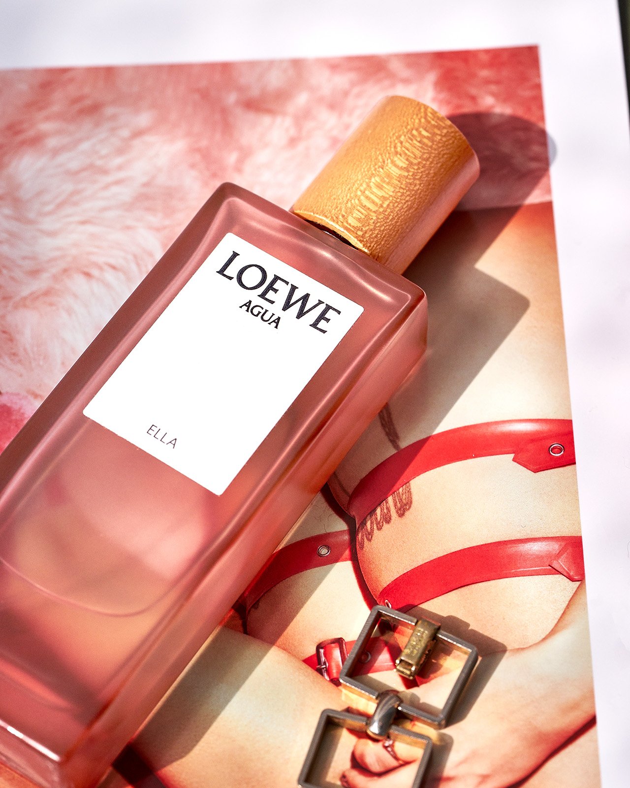 cat_haland_still_life_photographer_loewe_perfume.jpg