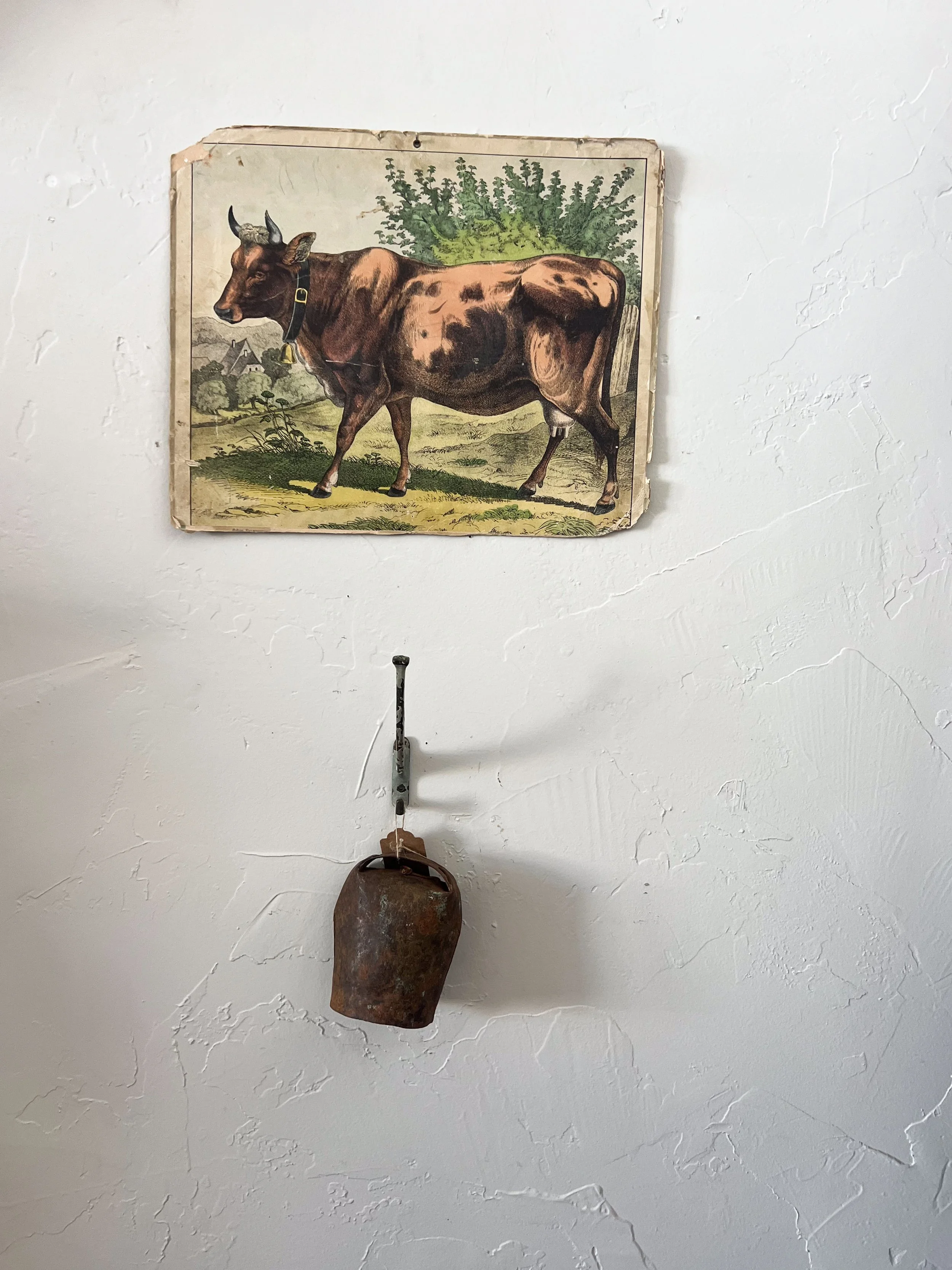 Cow Double Sided School Chart
