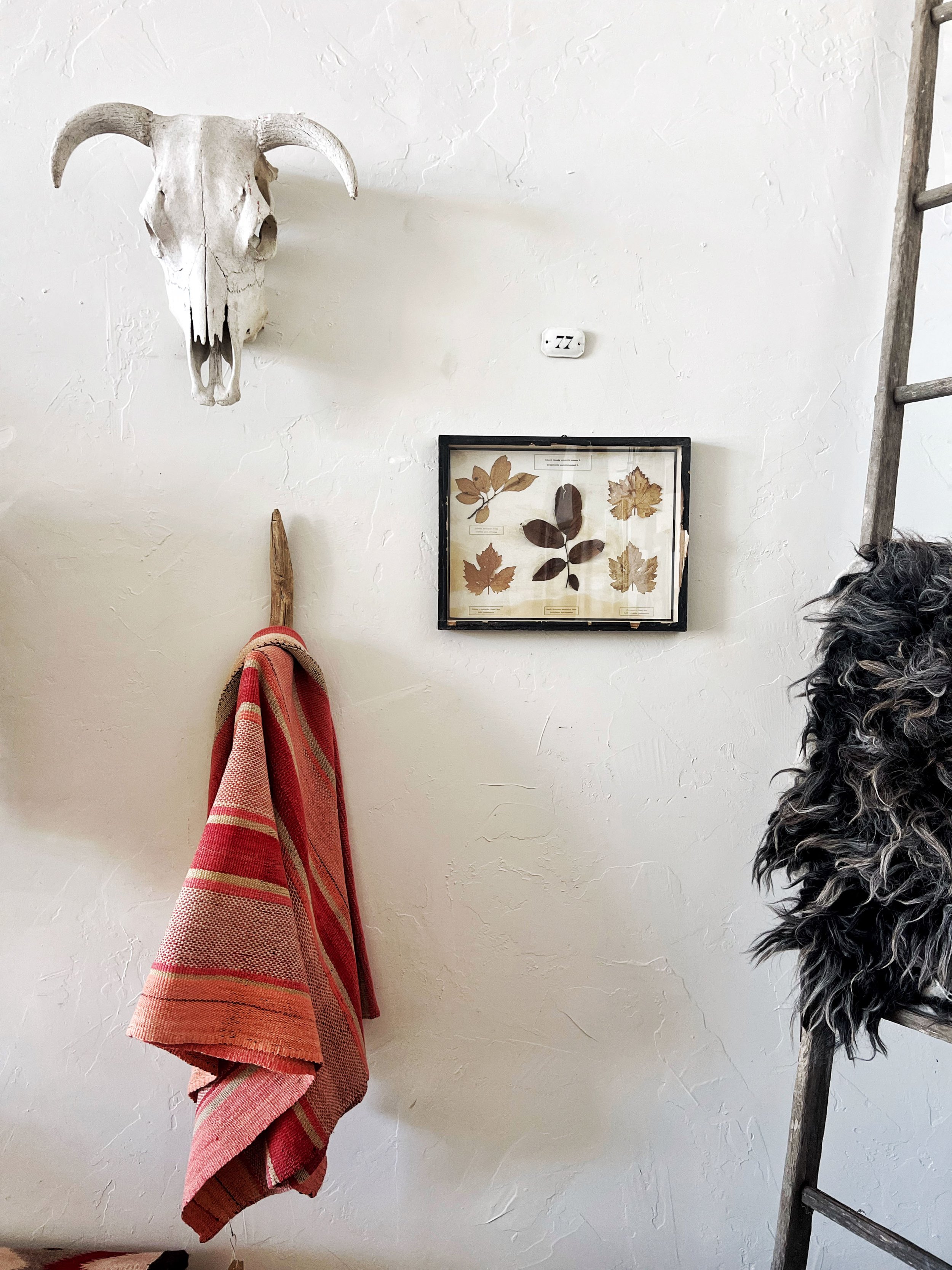 IMG_9124.jpg