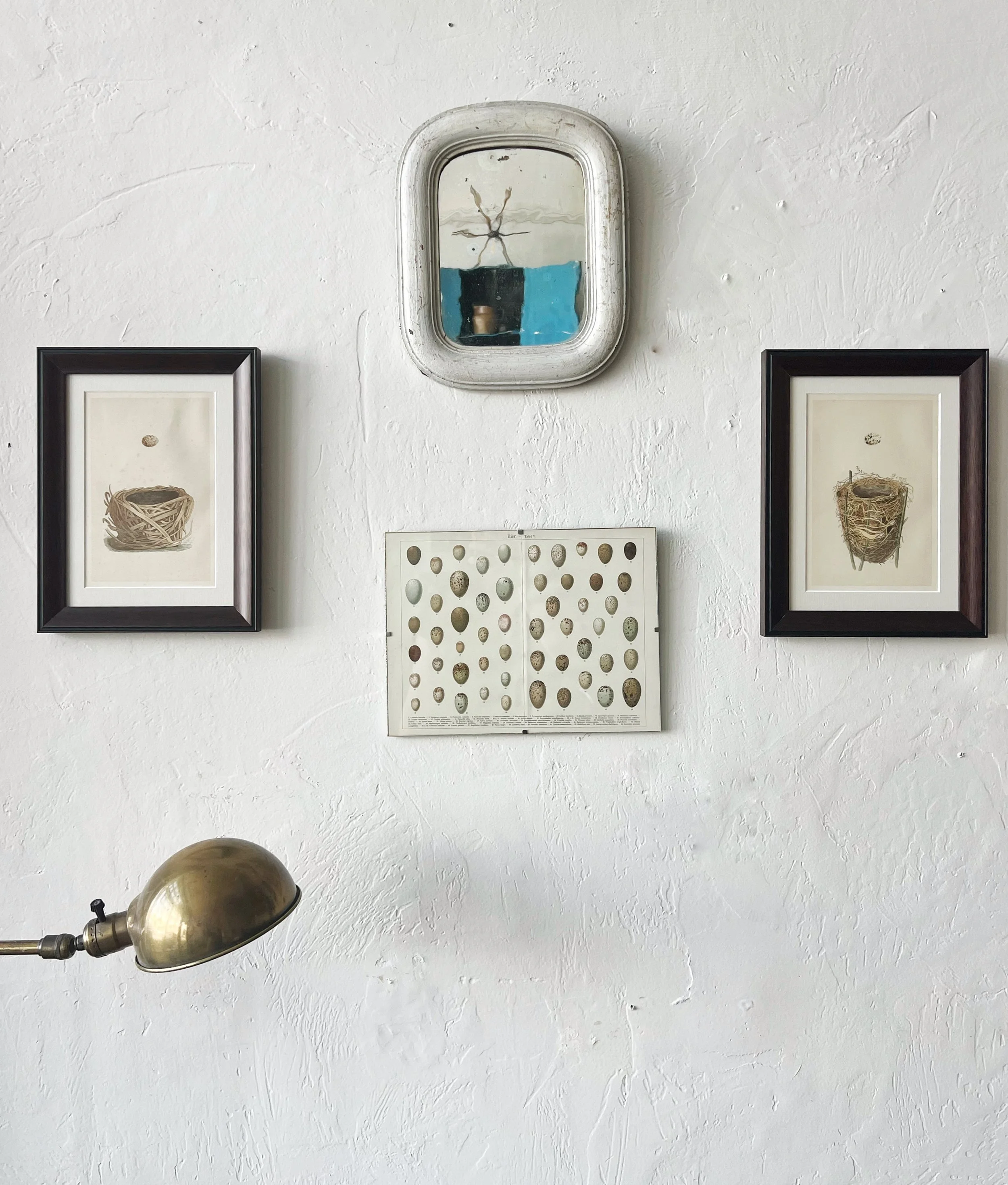 Framed Nest Lithographs