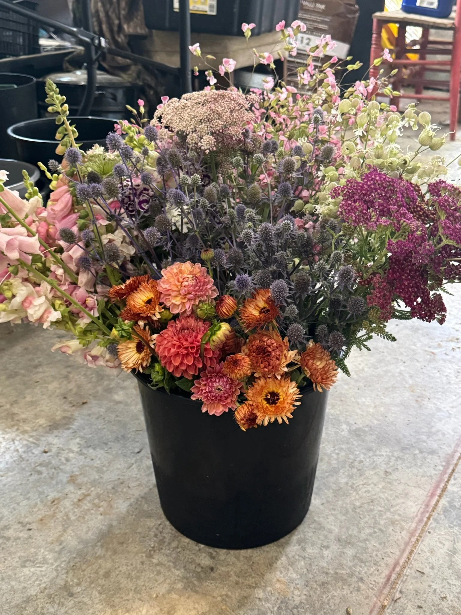 D-I-Y Bucket of foliage, filler, and flowers: Specialty Cuts - Coming Spring 2027