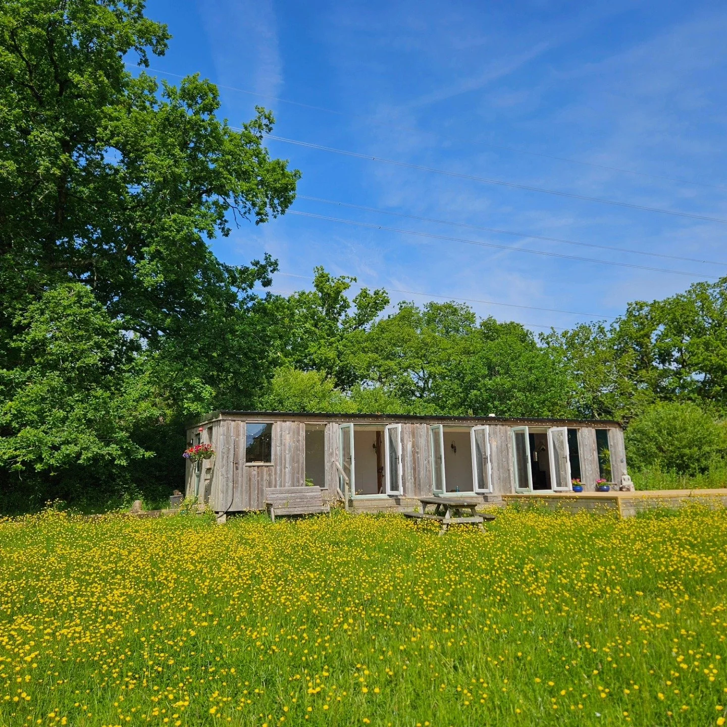 Alpaca Farm - Women's Yoga & Wellness Retreat