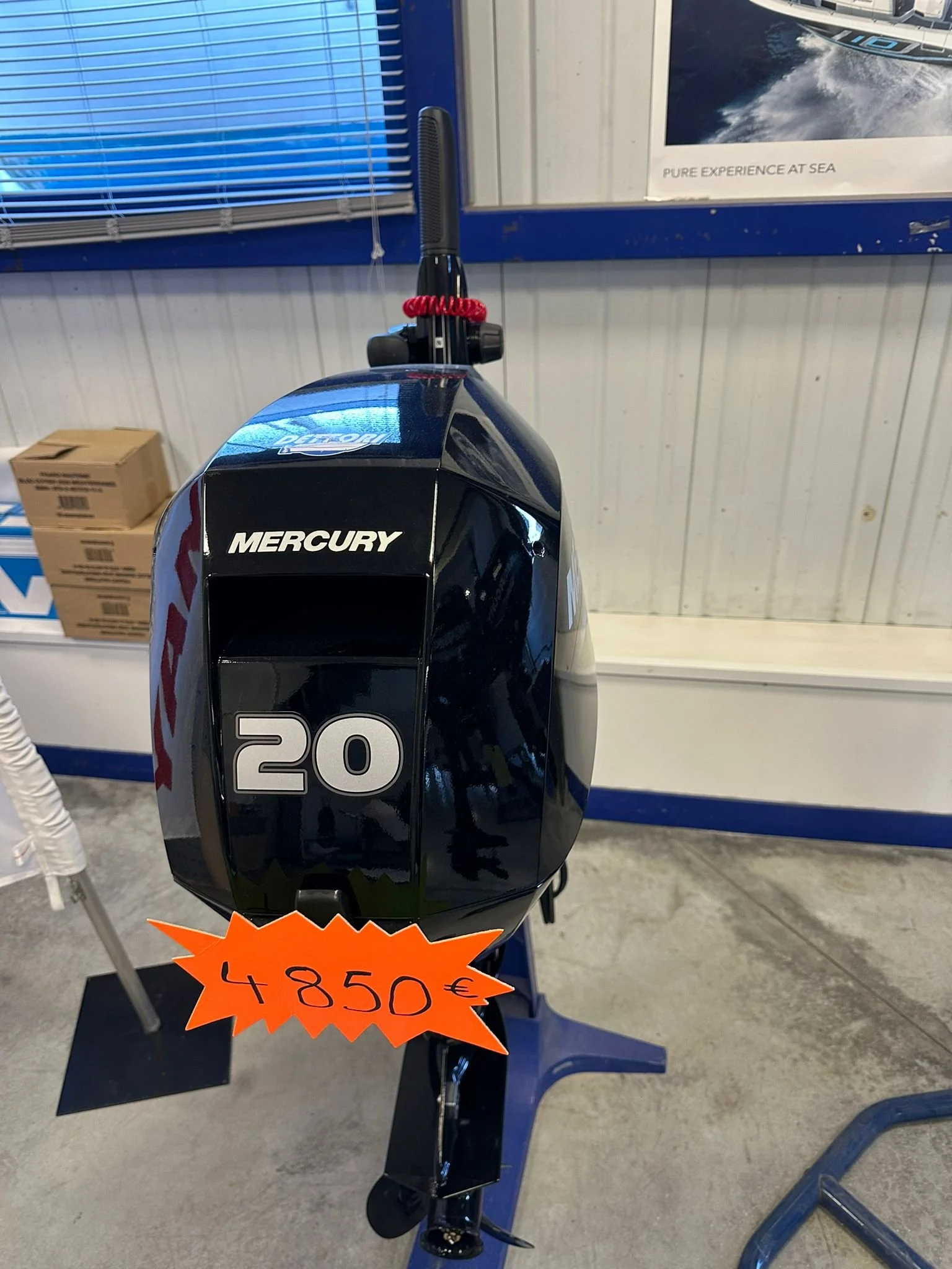 WhatsApp Image 2026-02-11 at 09.49.37.jpeg