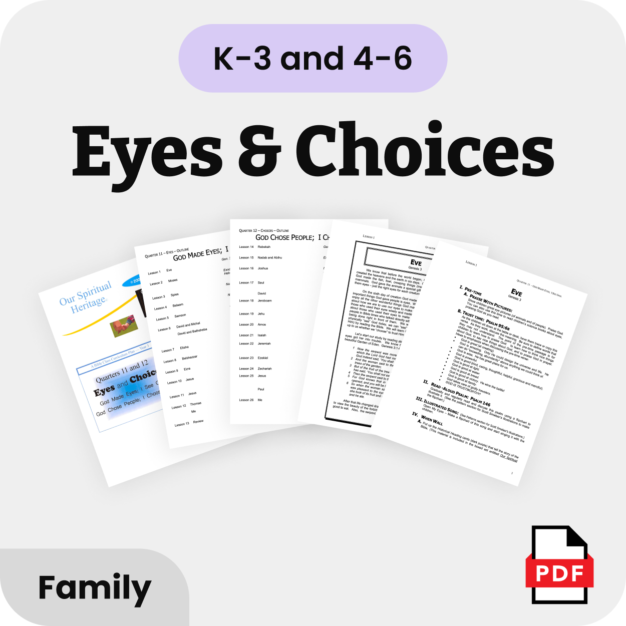 bcc-theme-6-eyes-and-choices-k-3-4-6-family-title.png