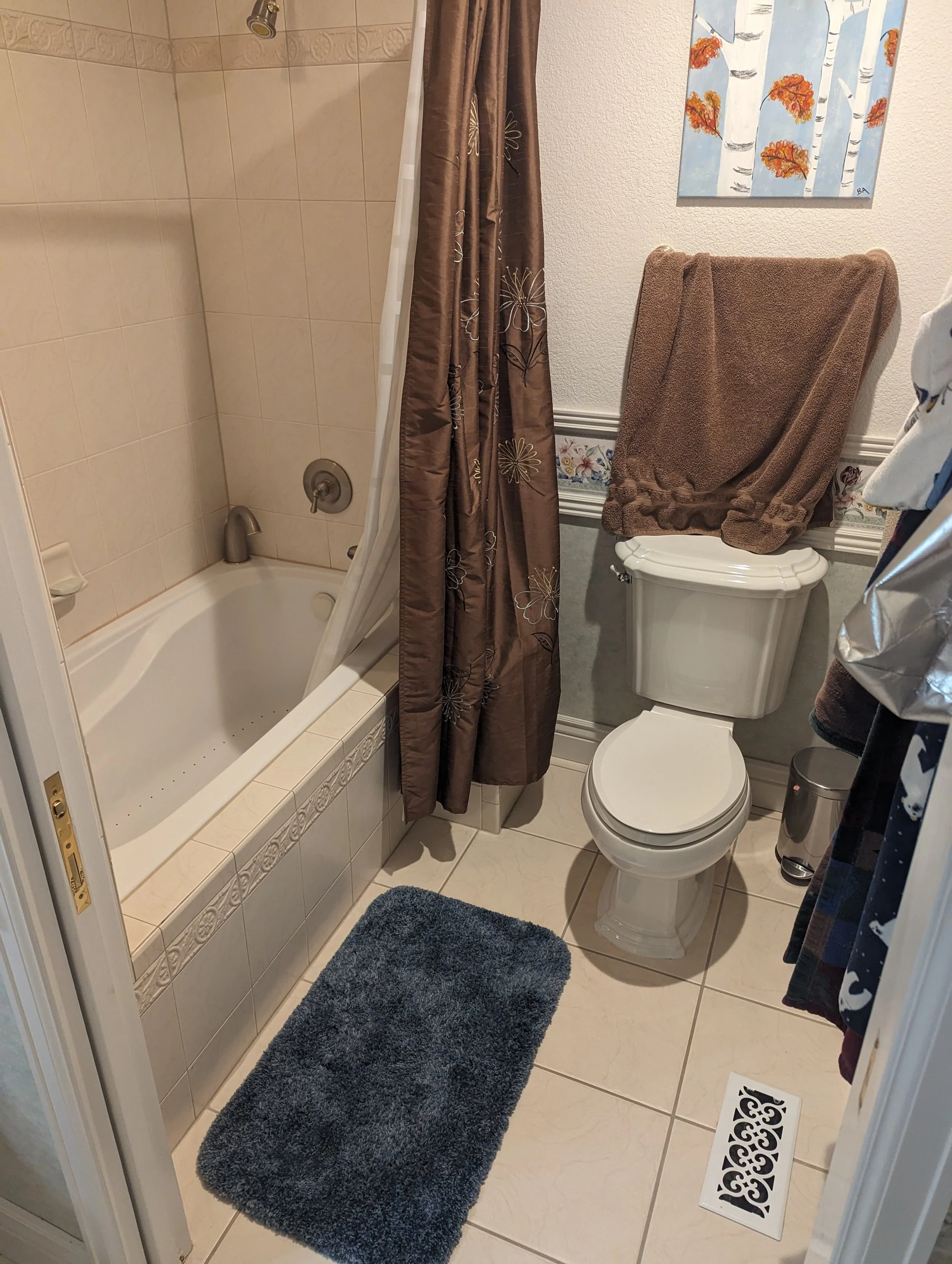 Asouline Bathroom before.jpg