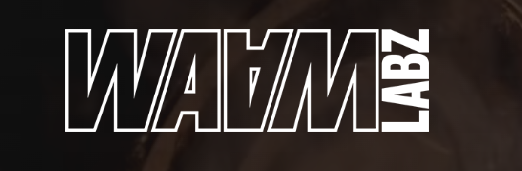 WAAMLABZ | 2026 — Ongoing