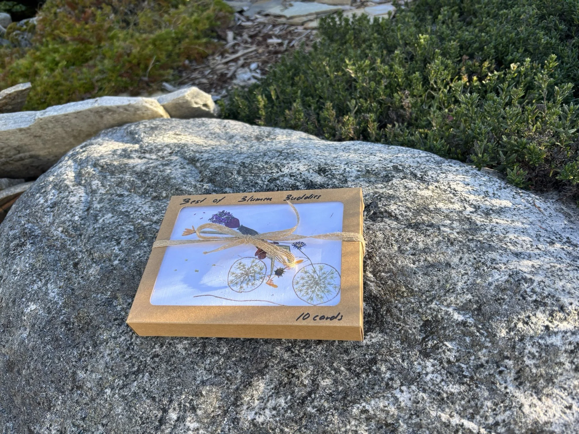 best-of-card-box_10.jpg