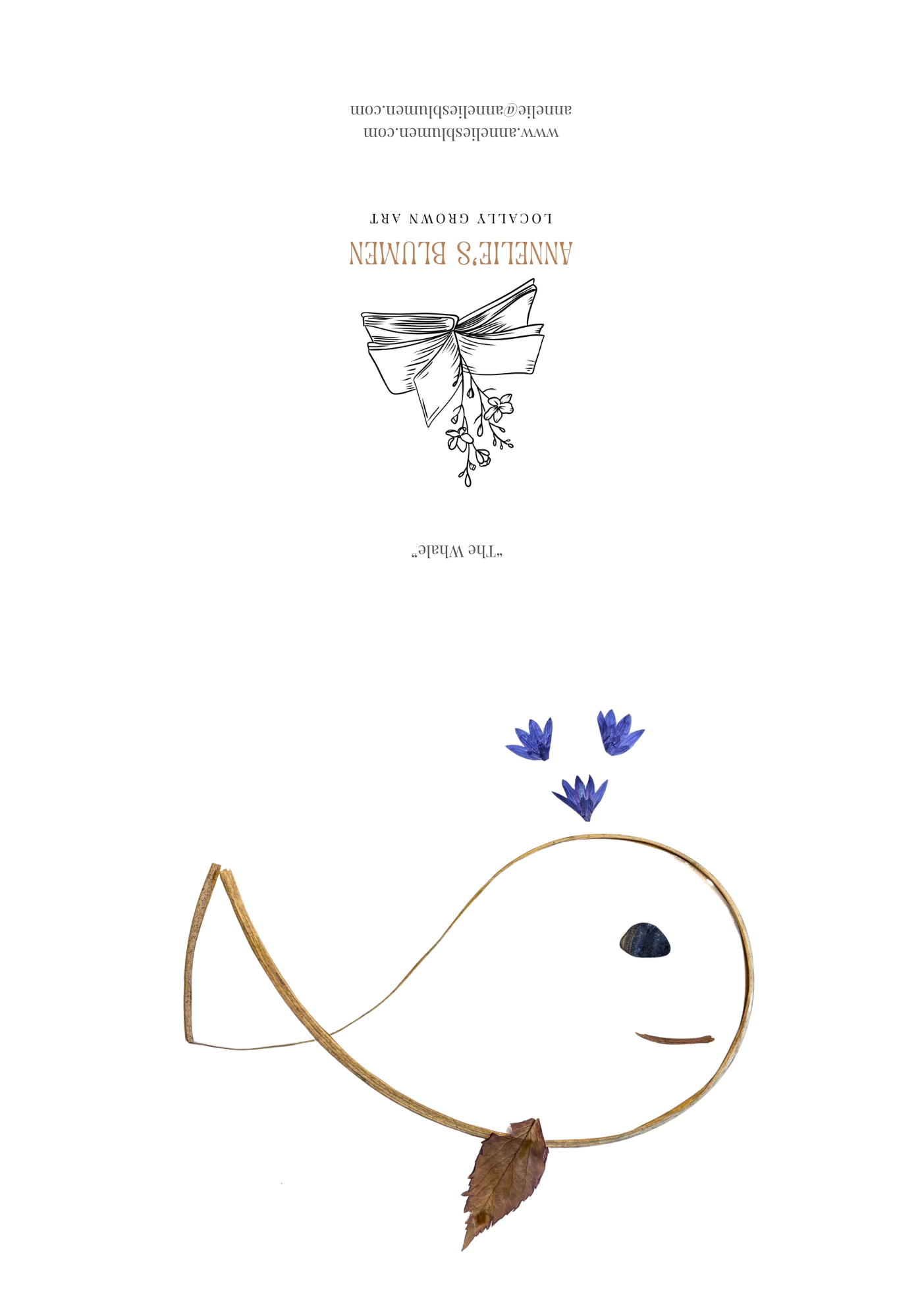 The Whale.png