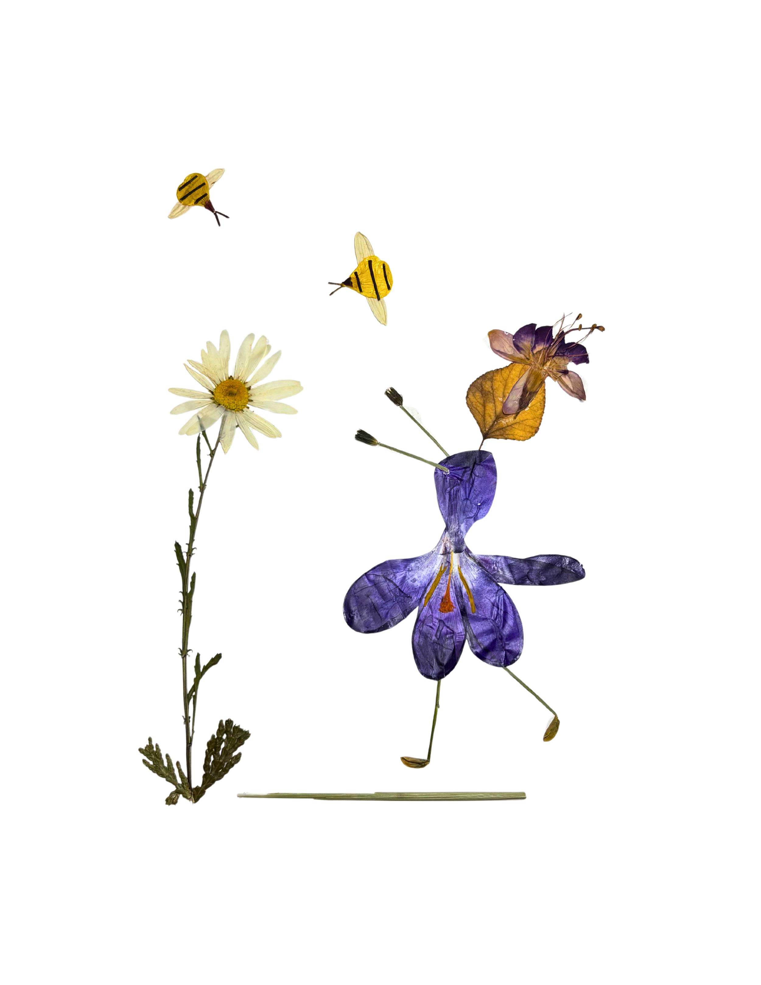 bee IV front.png