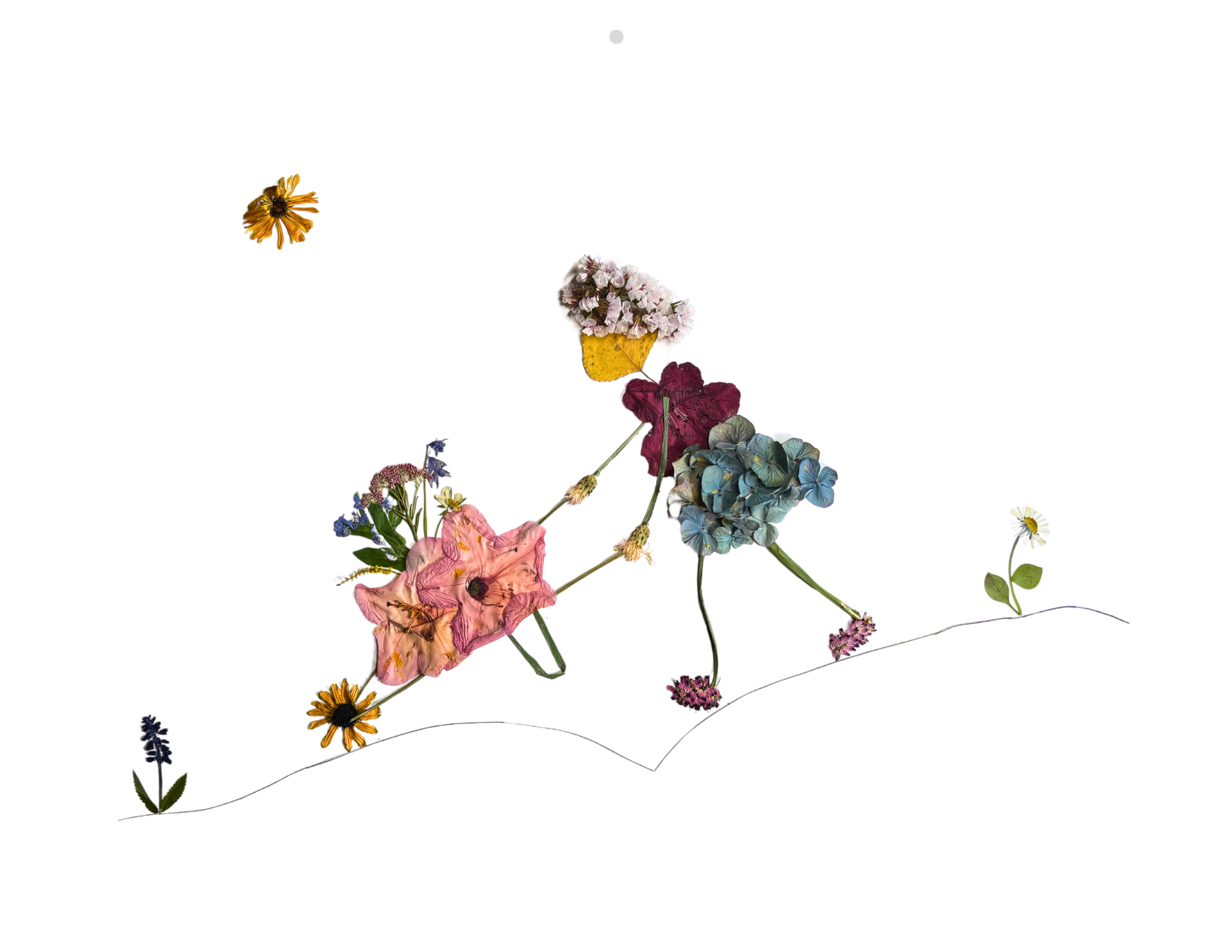 5_May.png