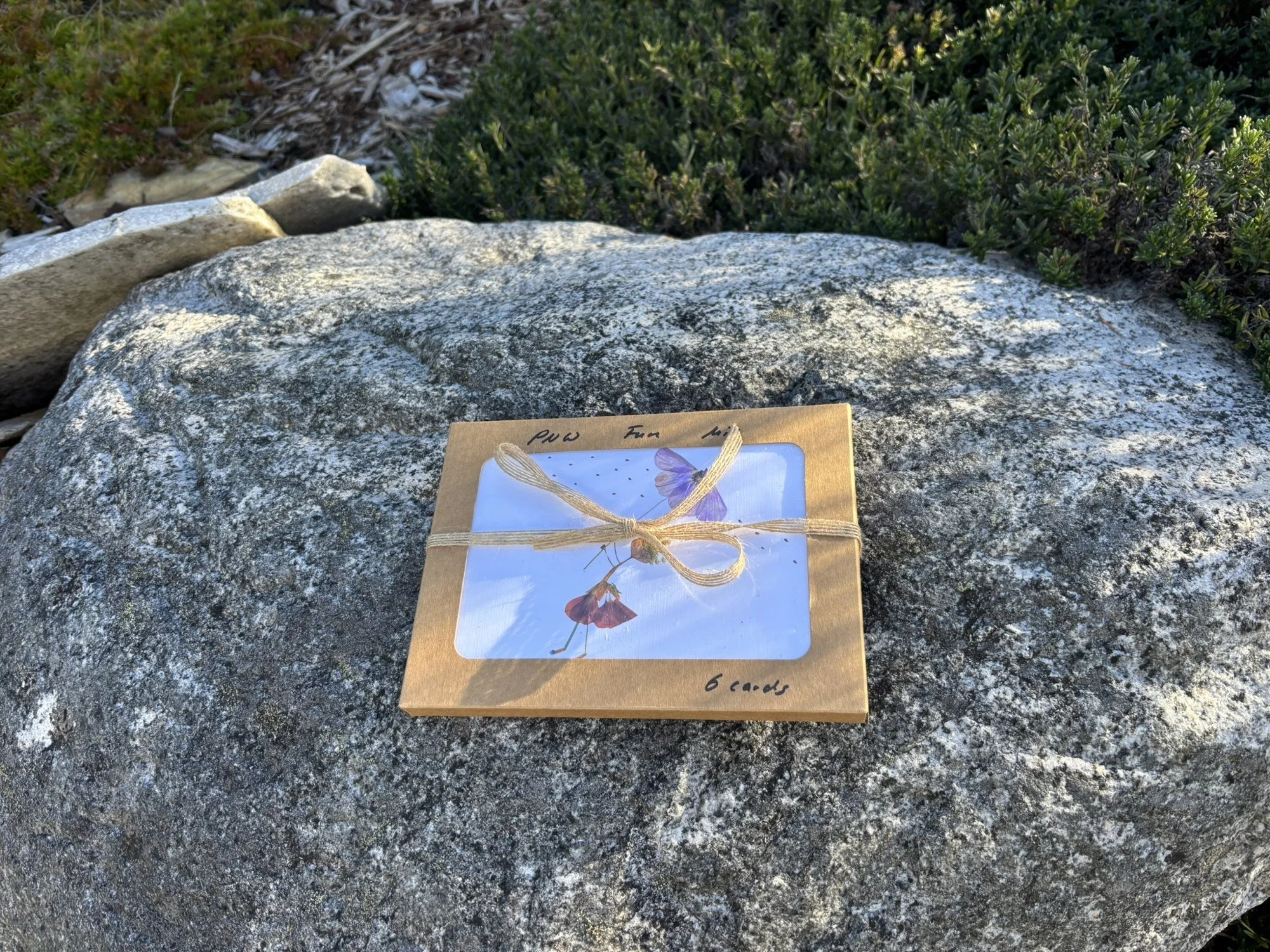 pacific-northwest-card-box_6.jpg