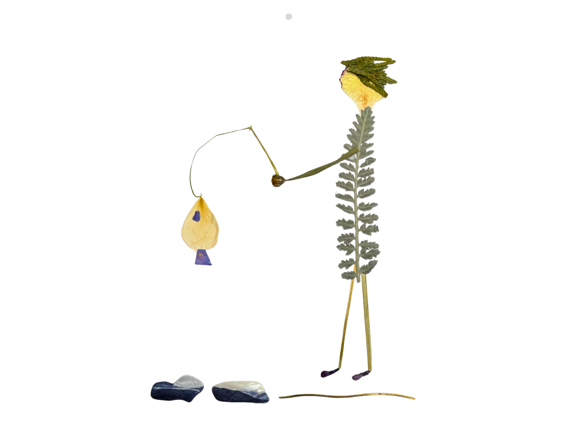 6_June.png