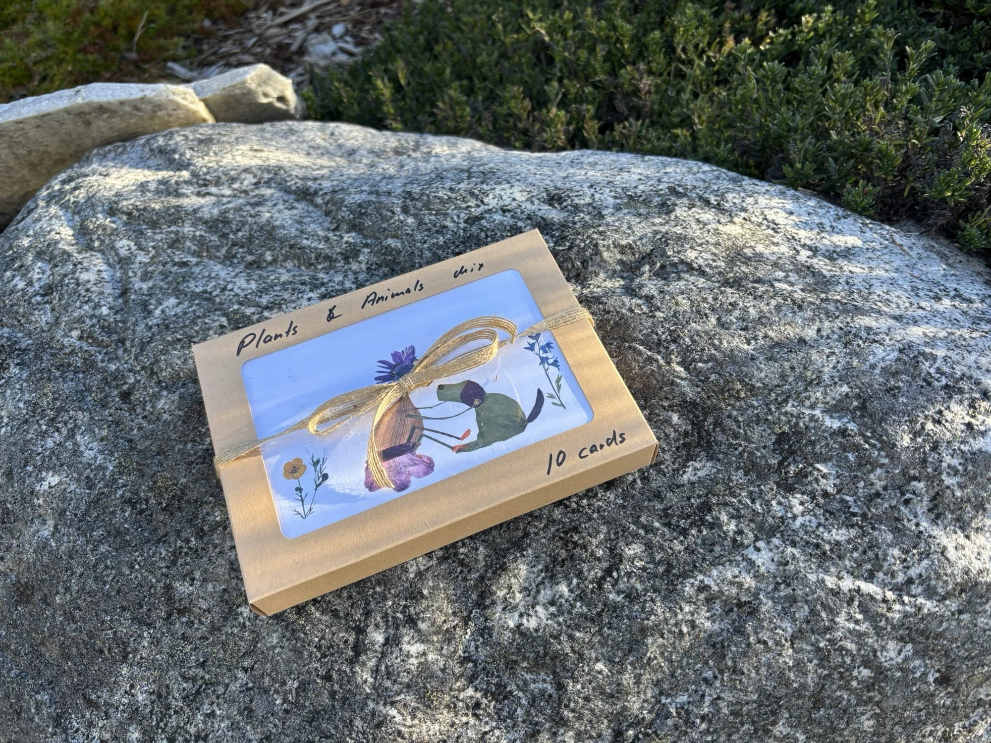 plants-and-animals-card-box_10.jpg