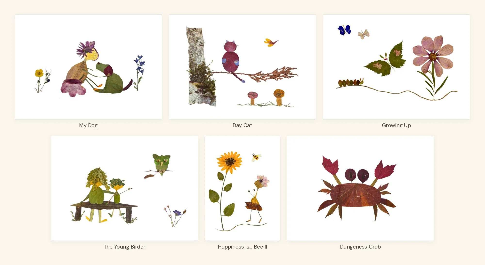 plants-animals-card-box-6.jpg