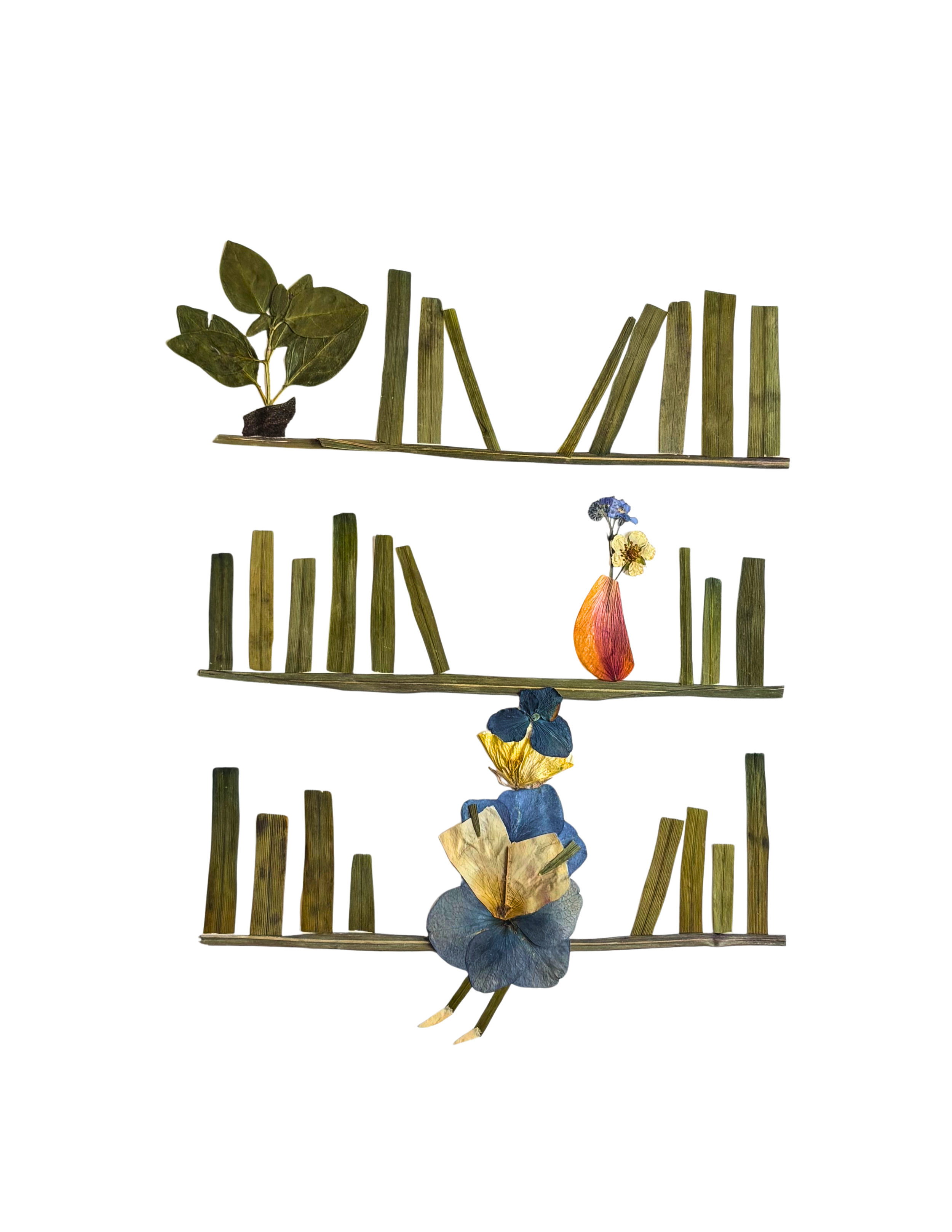 reader.png
