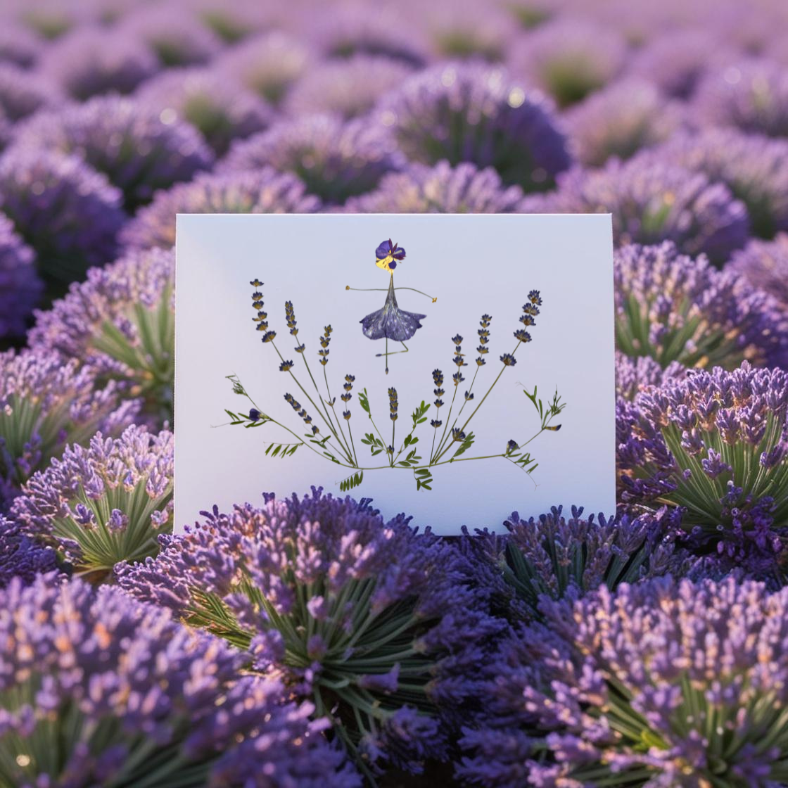 Lavender Ballet