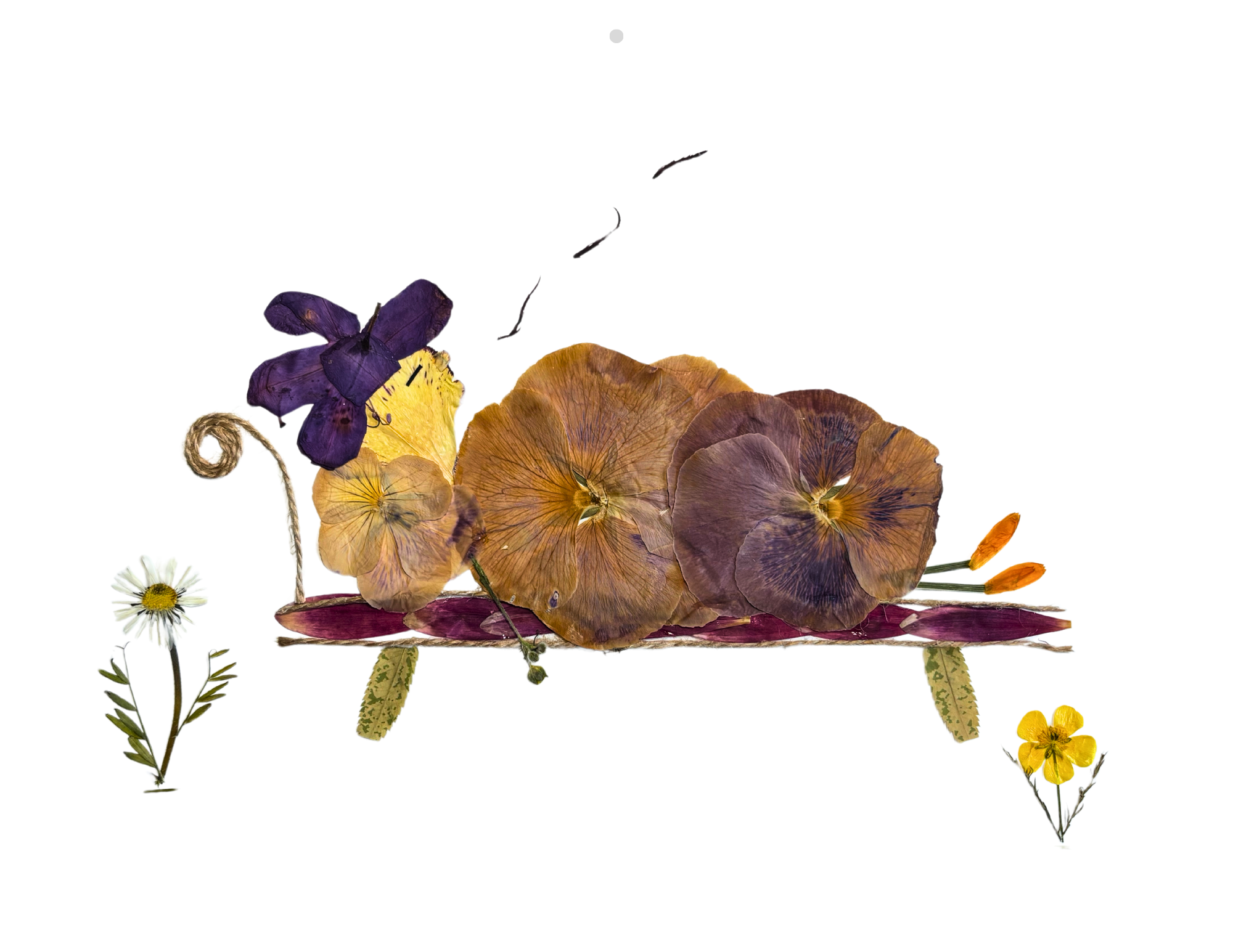 1_January.png