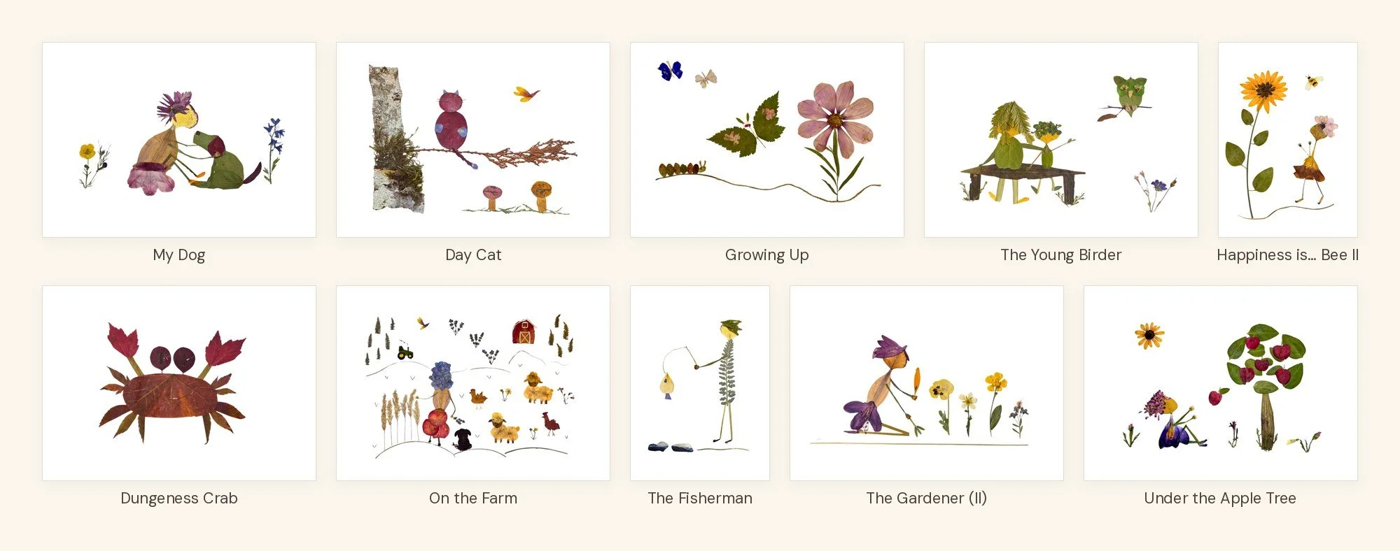 plants-animals-card-box-10.jpg