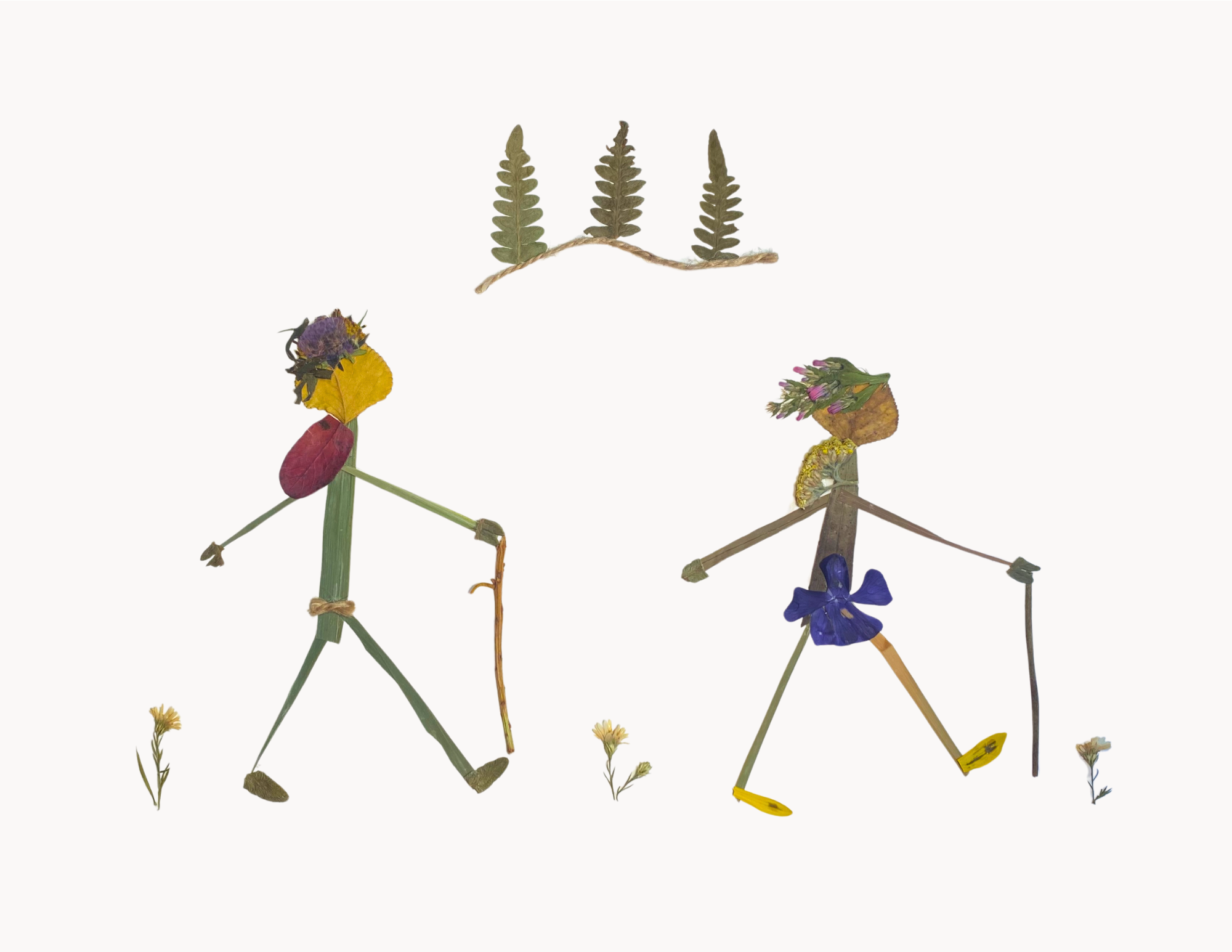 The Hikers