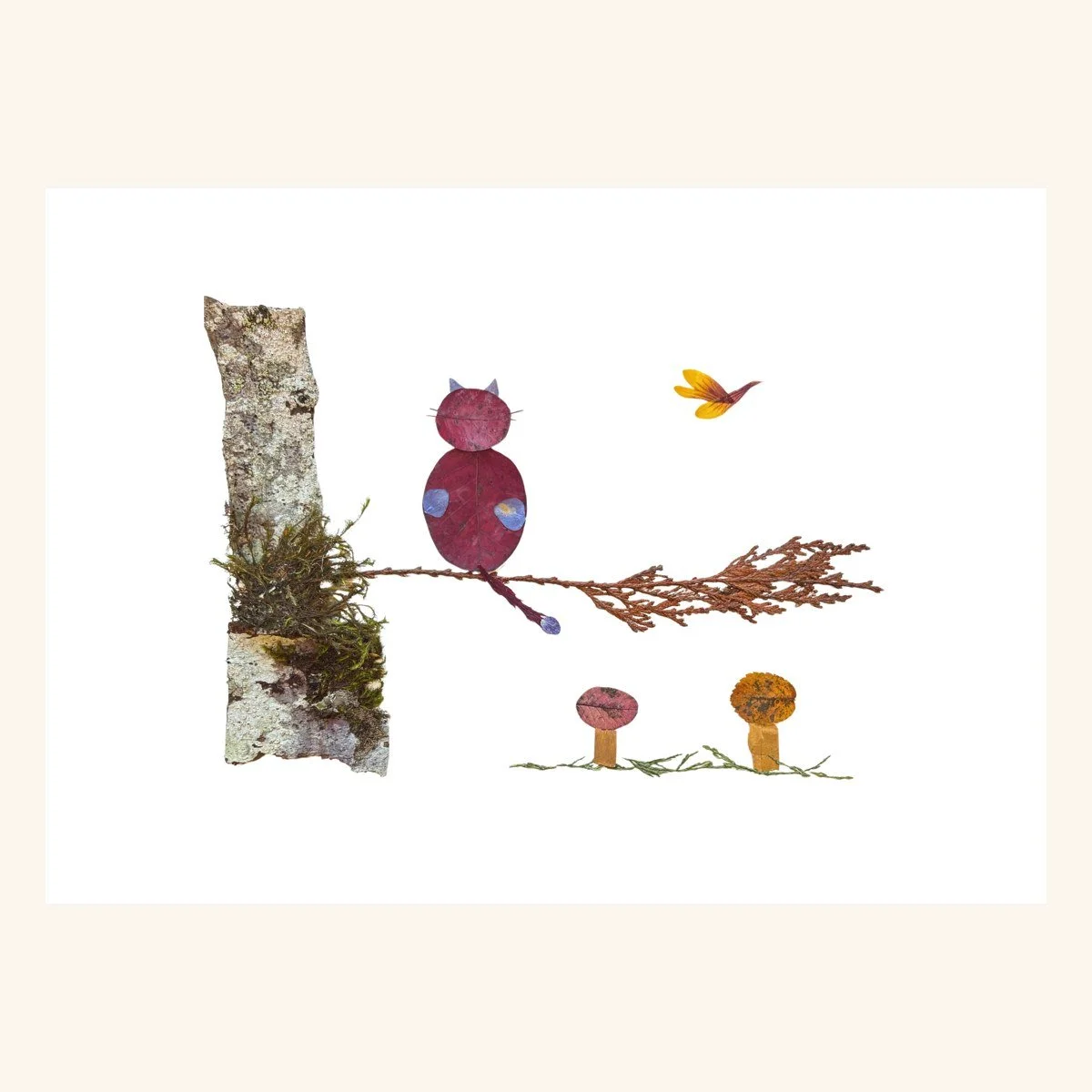 Plants & Animals