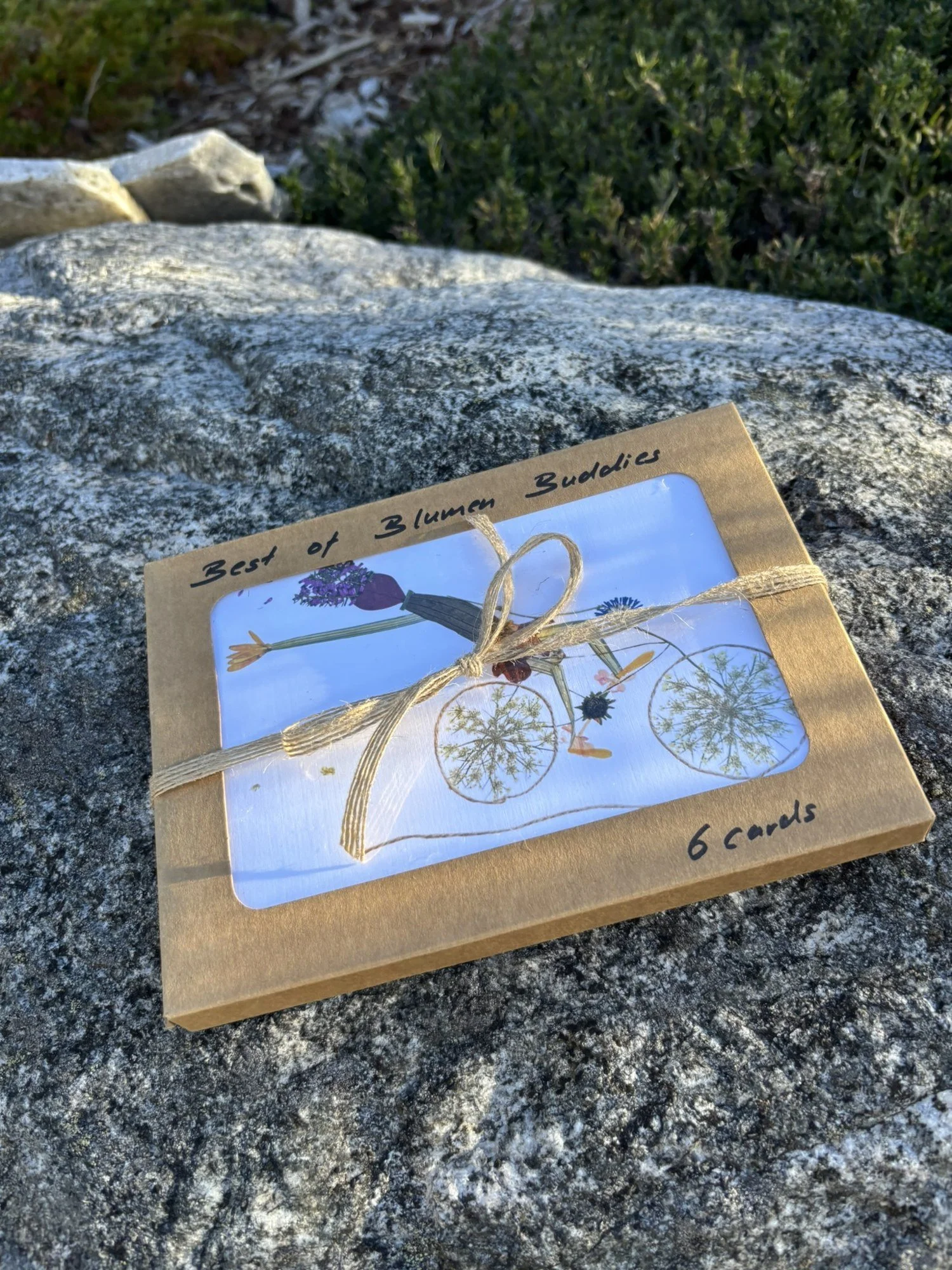 best-of-card-box_6.jpg