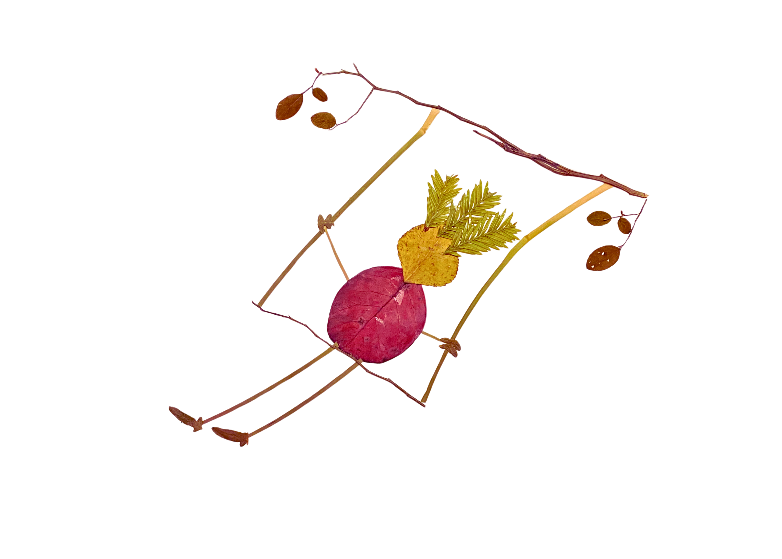 the-swing.png