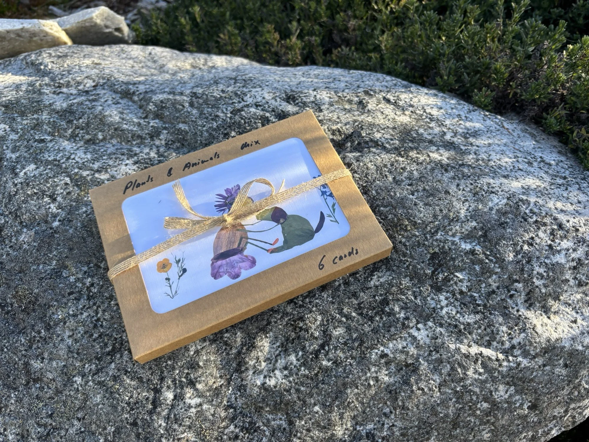 plants-and-animals-card-box_6.jpg
