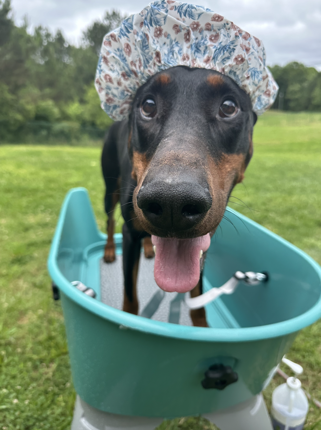 Screen Shot 2024-10-03 at 9.26.58 PM.png