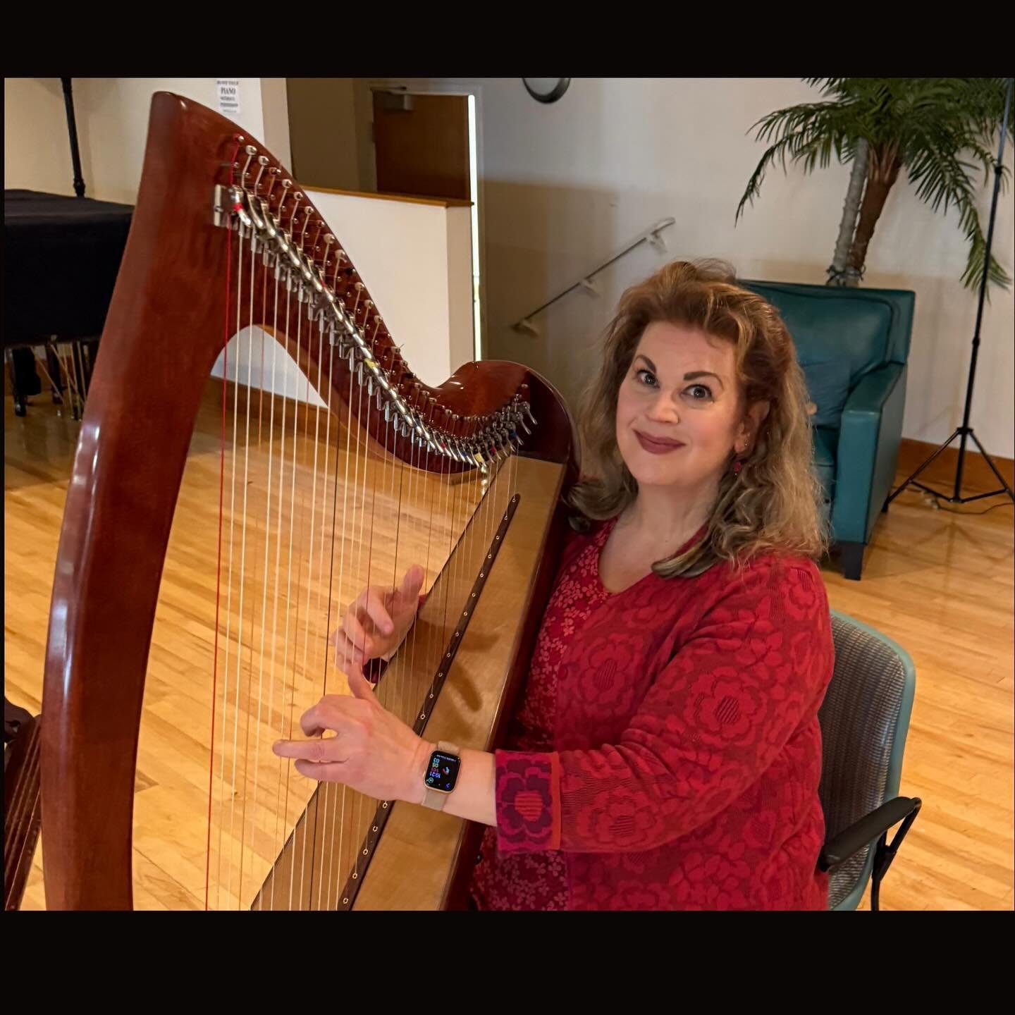 At the Swedish Christmas market today sponsored by @sweaatlanta ! There was Lucia, the Vasa Dr&auml;ngar, lots of goodies, and festive cheer! 🎄🇸🇪🌟🤶
.
.
.
.
.
.
#swea
#julmarknad
#harp
#harpist
#harpmusic
#atlanta
#sweden
#harpistlife
#harpistsof
