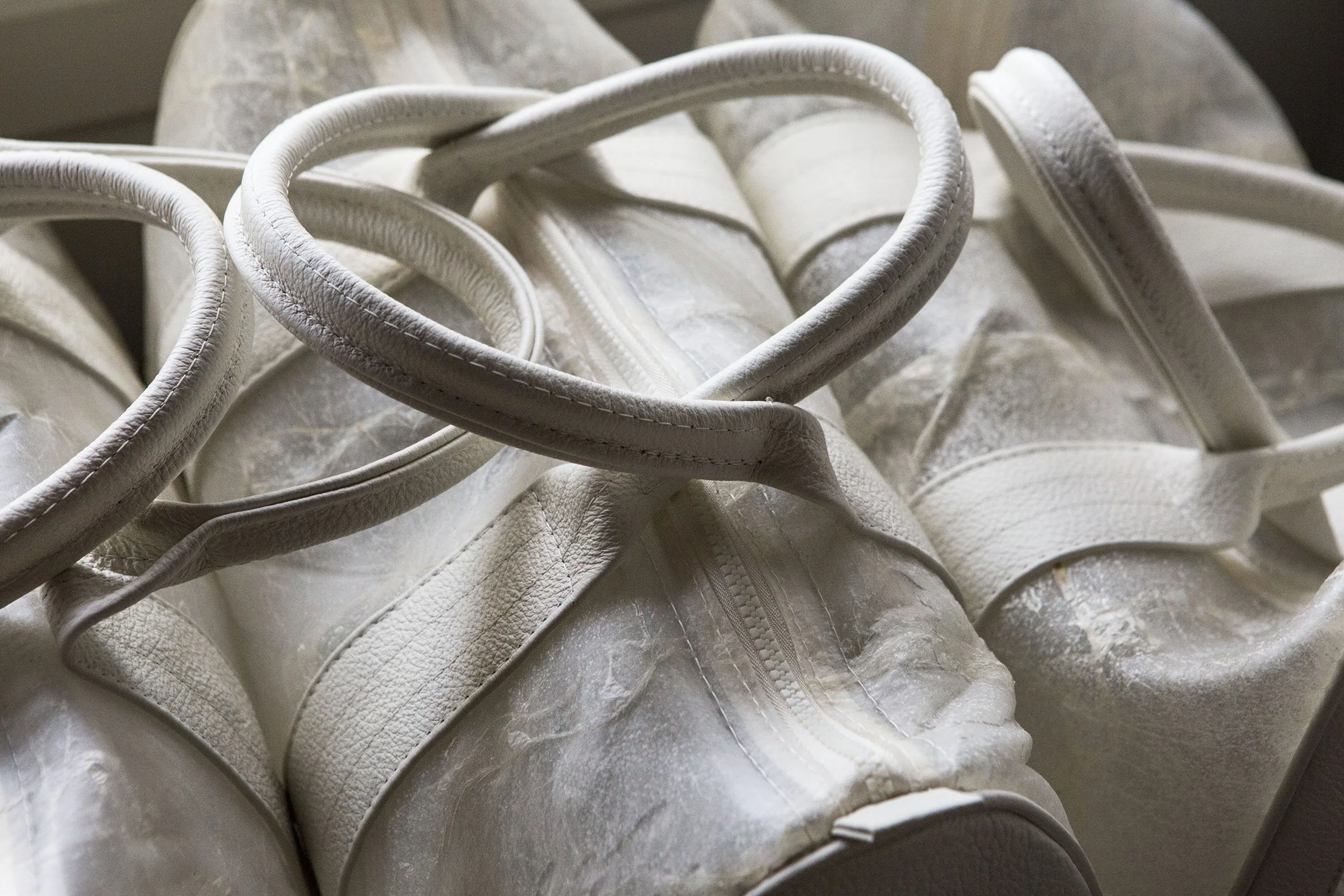 EB Photo by Lisa Spindler.jpg