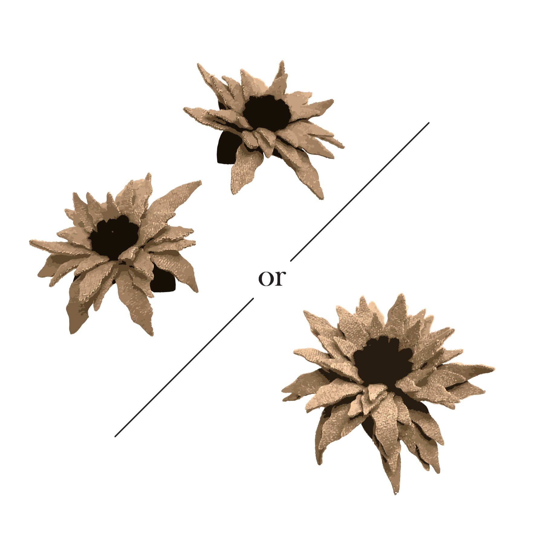 JLWC Pointed Spikey.jpg
