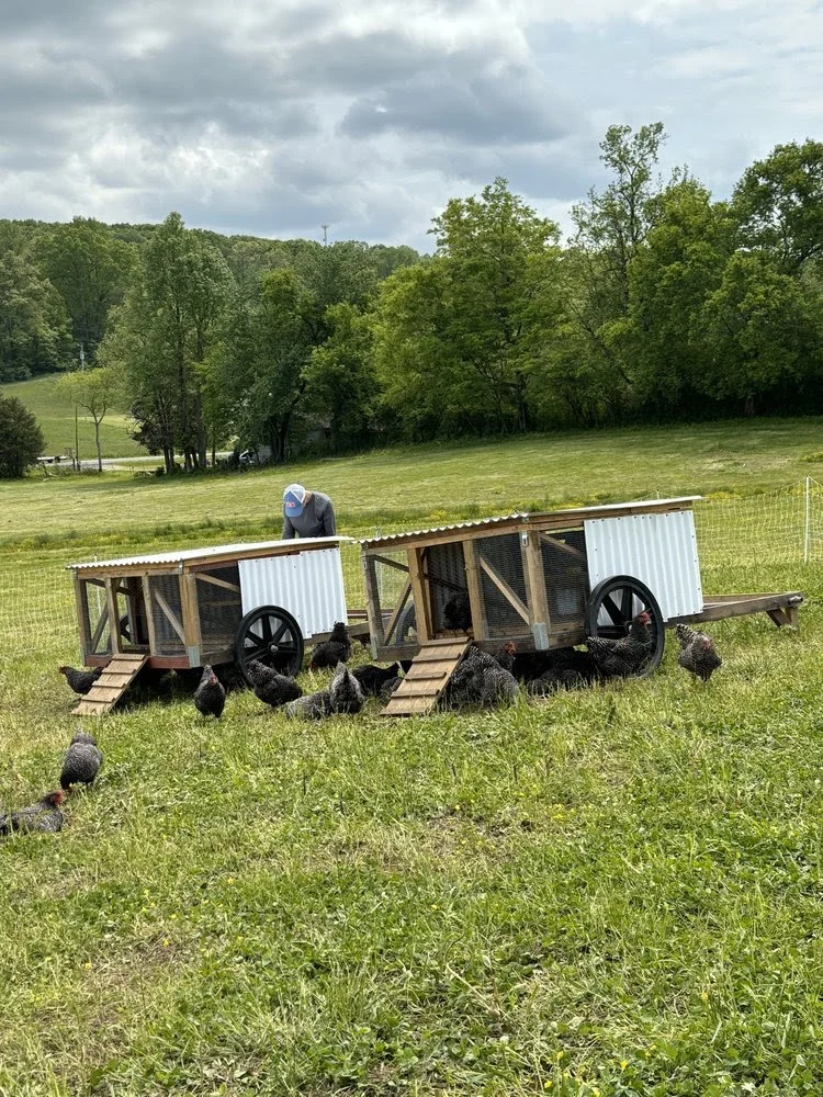 July 2024 Newsletter