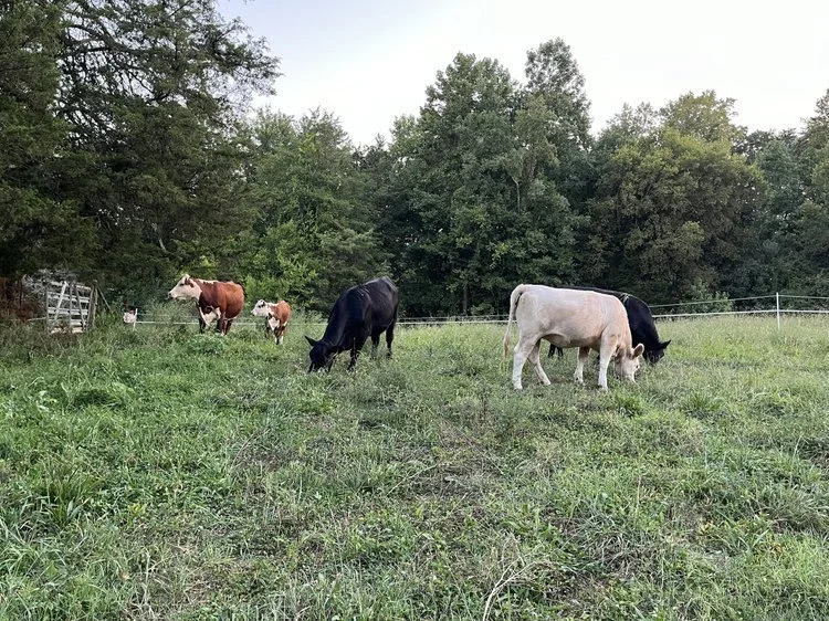 September 2024 Newsletter