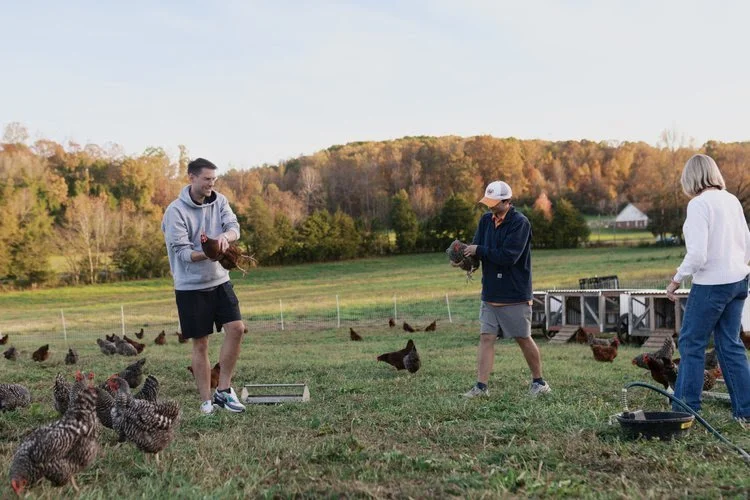 December 2024 Newsletter