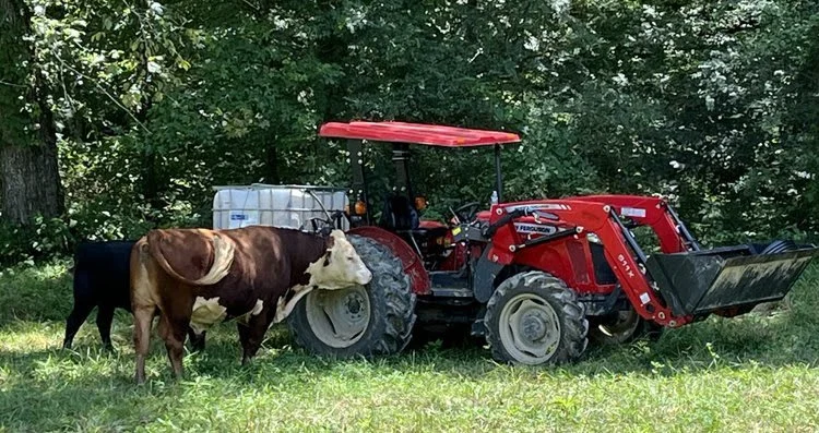 August 2025 Newsletter