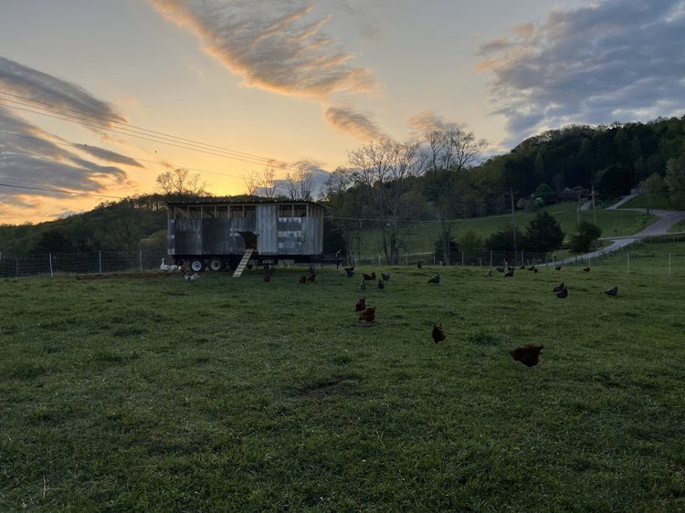 April 2025 Newsletter