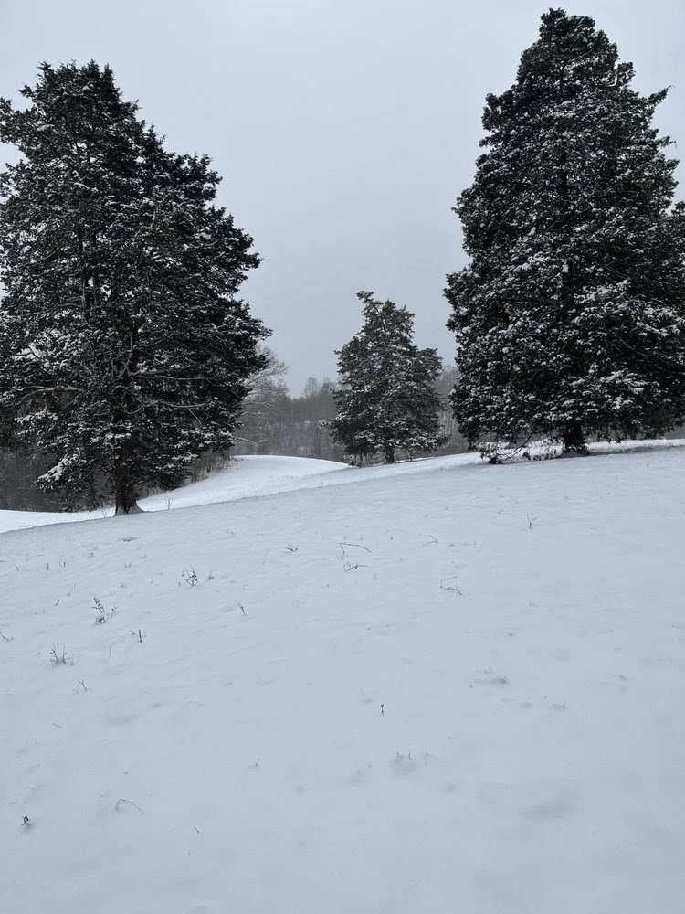 February 2026 Newsletter