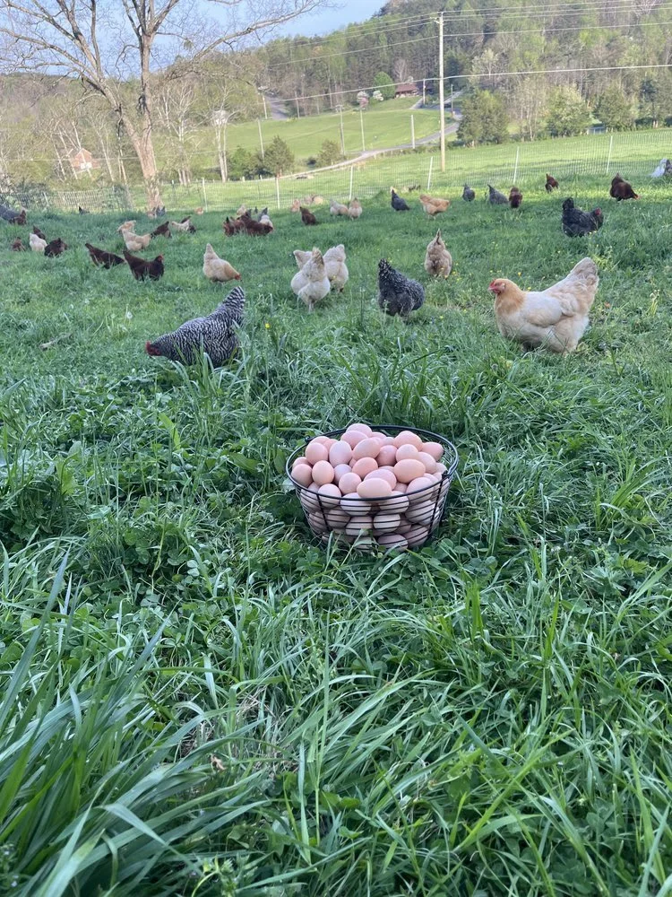 April 2026 Newsletter