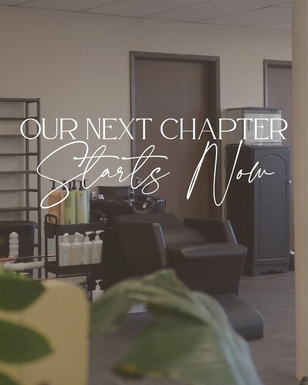 OUR NEXT CHAPTER STARTS NOW. ✨

A new space, a fresh start, and so much to look forward to.

This move is more than just a new address. It&rsquo;s a new chapter for Ash + Olive, and we&rsquo;re so excited to grow, create, and continue making you feel