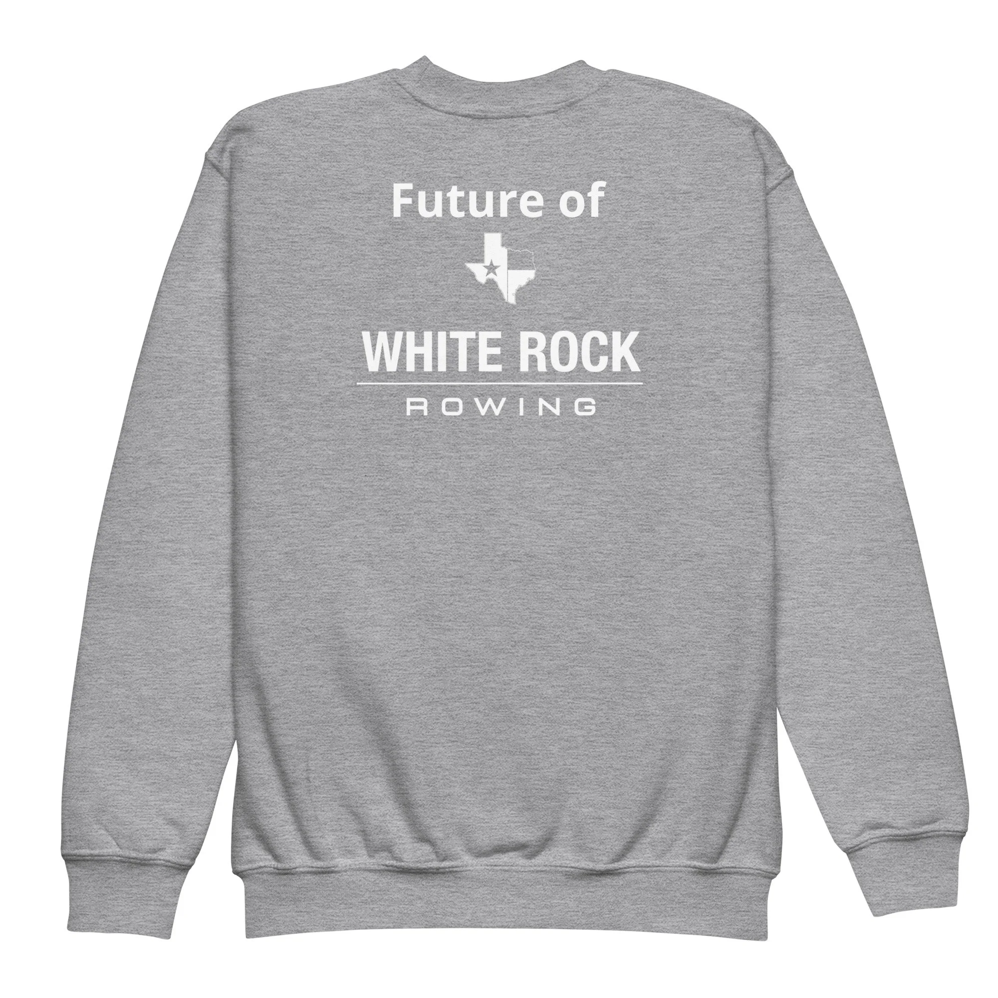 youth-crew-neck-sweatshirt-sport-grey-back-656832e0c0741.jpg