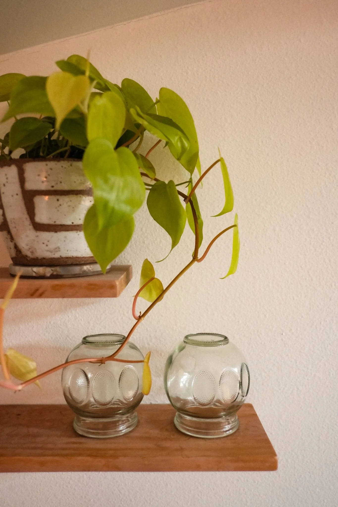 Taylor Walter-Bellingham-Massage-Therapist-Gabi-Fox-Photography-042_websize.jpg
