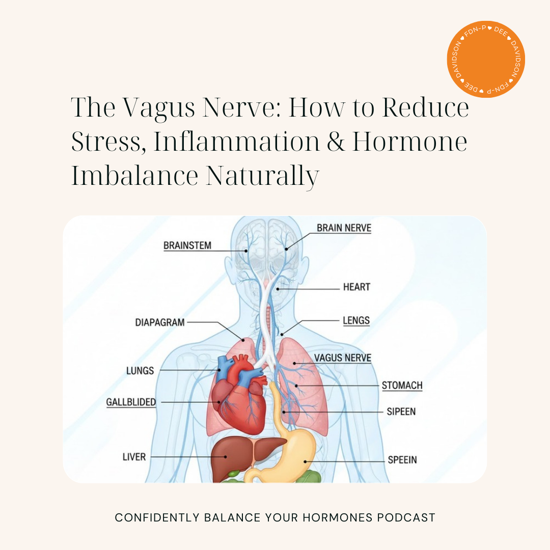 The Vagus Nerve: How to Reduce Stress, Inflammation &amp; Hormone Imbalance Naturally