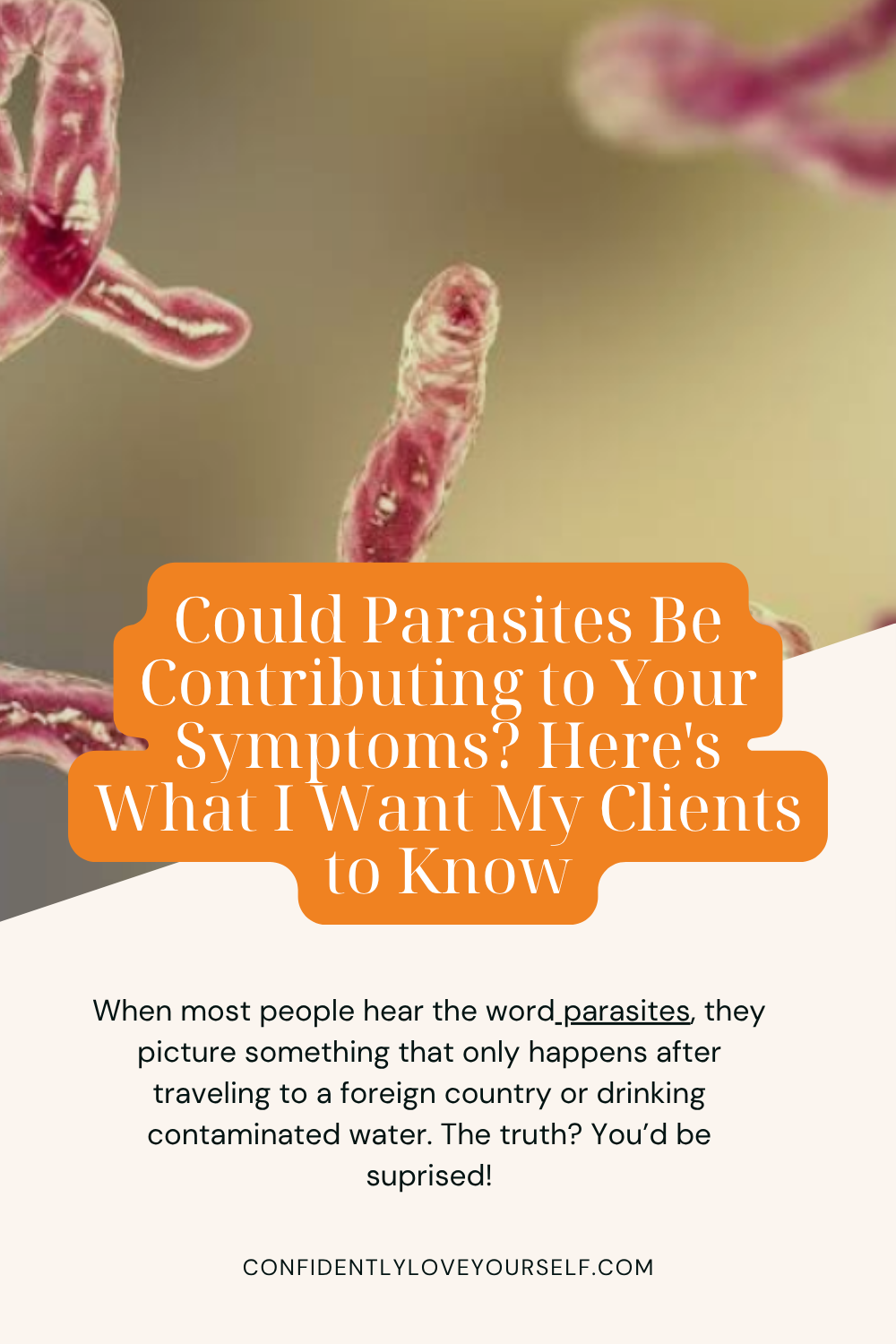 Could Parasites Be Contributing to Your Symptoms? Here's What I Want My Clients to Know