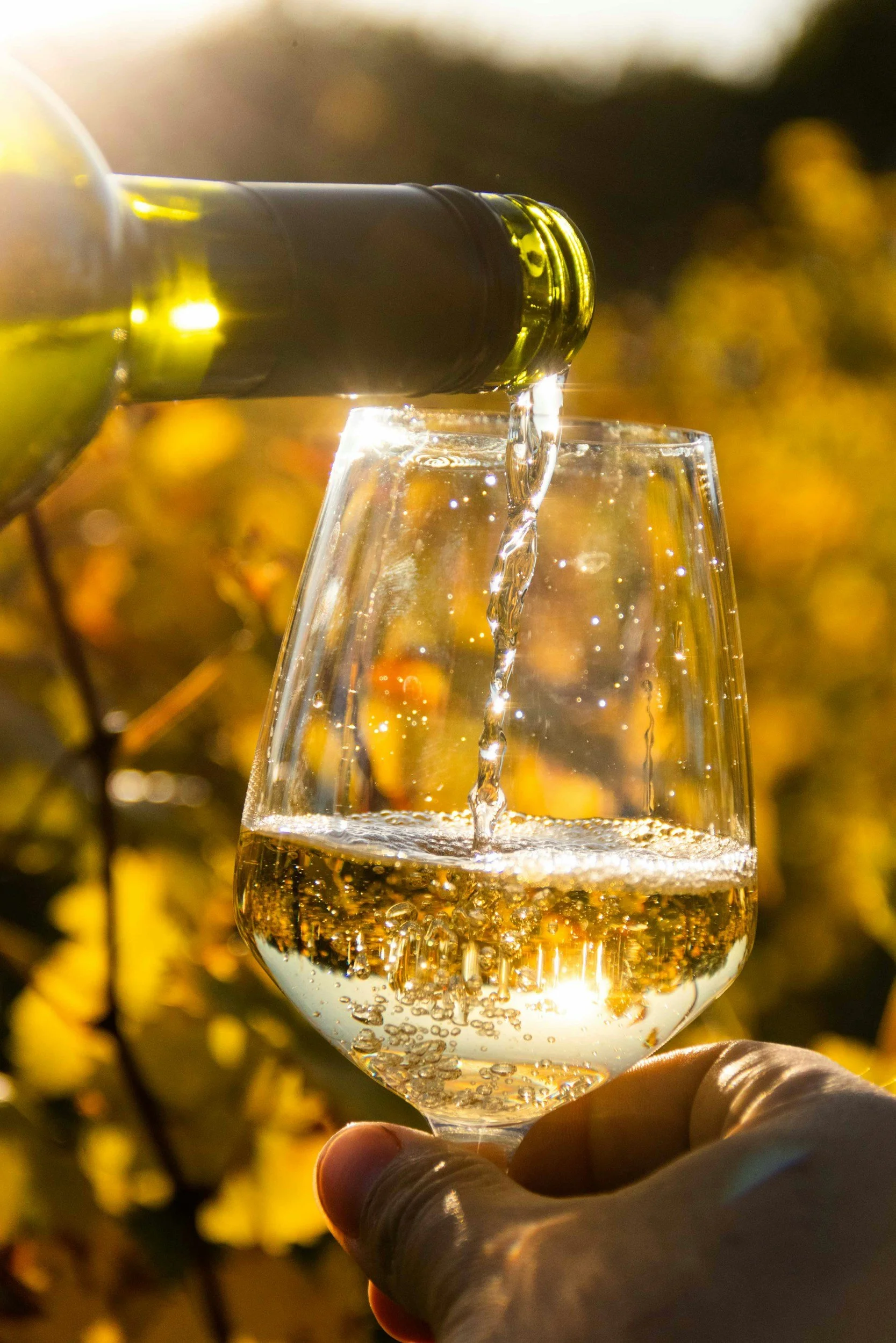 A hand holding a wine glass with white wine, with a wine bottle pouring wine into the glass, set against a blurred background of yellow and green foliage.