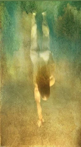 Ariane Price, Underwater Photography 4