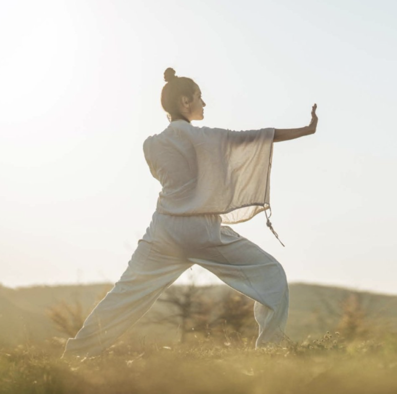 Qigong for Self-Healing with Sybil